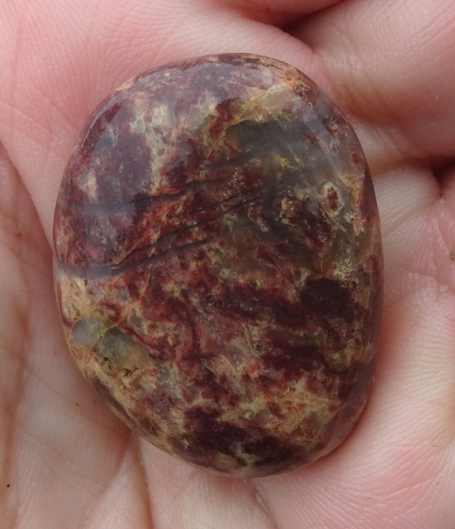 Complex red quartzite.