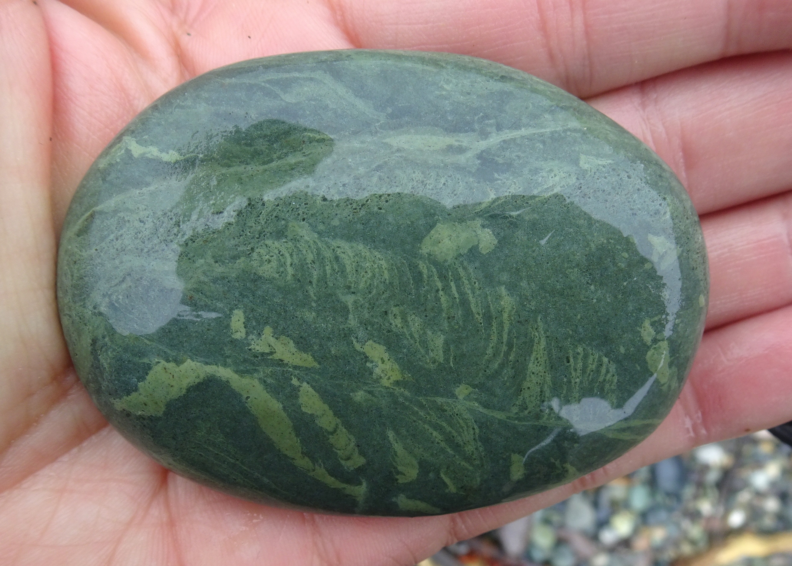 Some subtle trace fossils here.