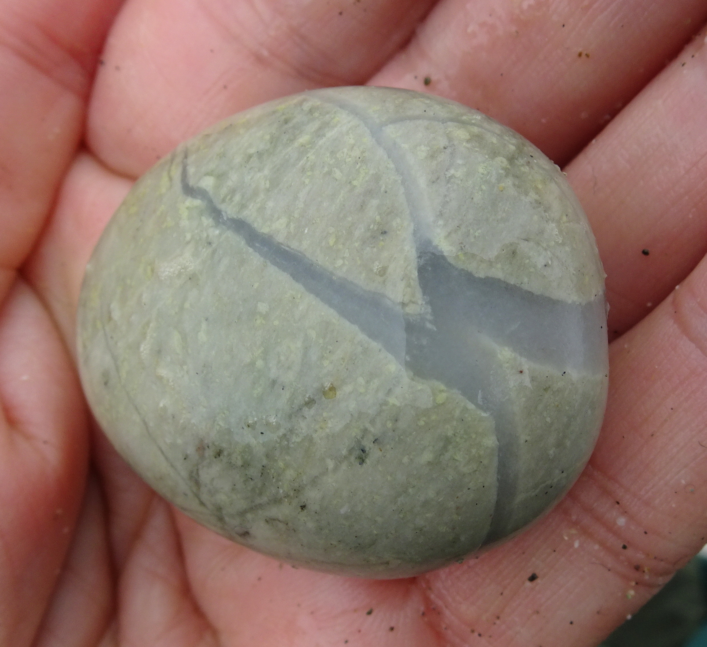 A stone dominated by a large vein.