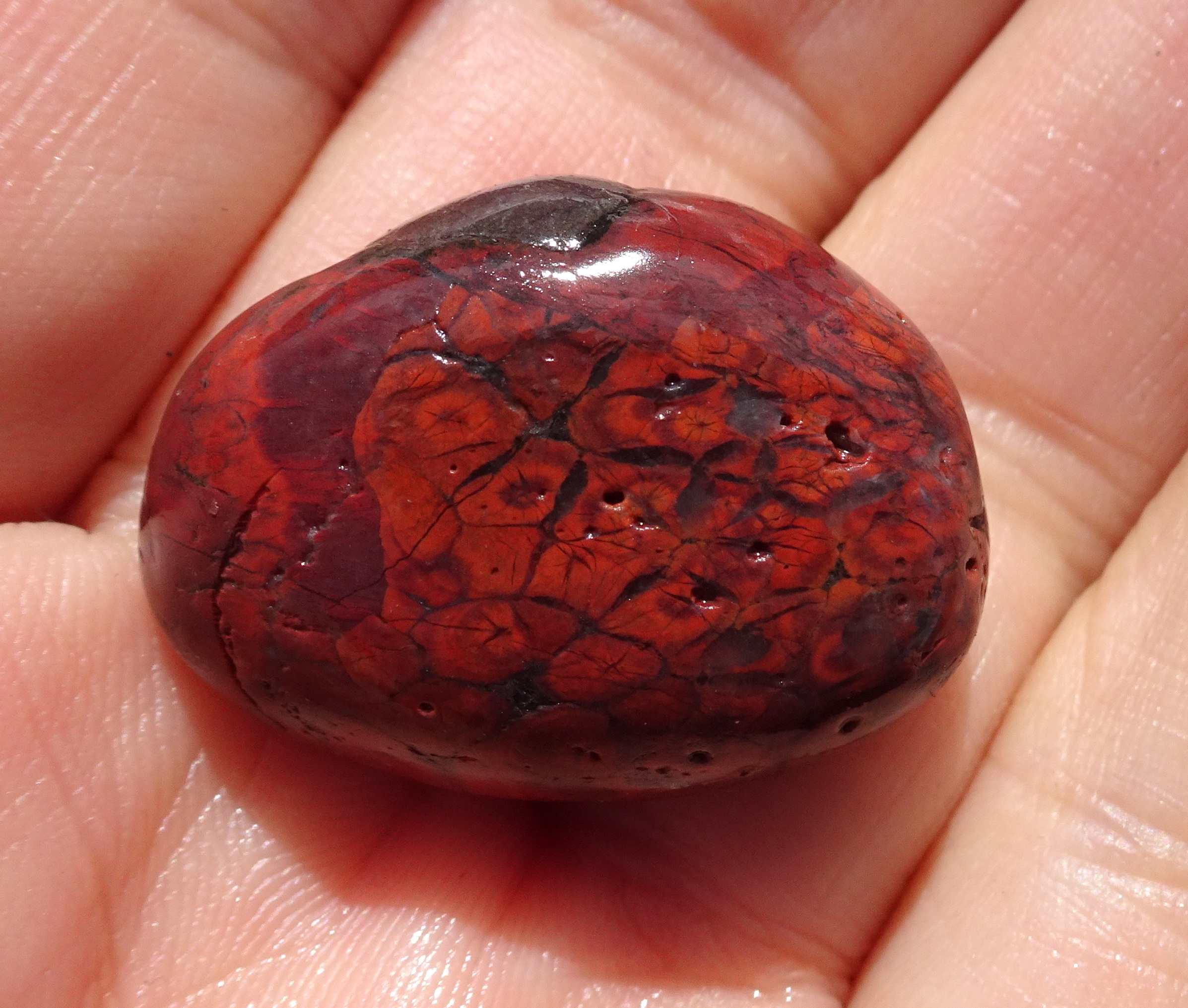 Stone 18, small but stunning.