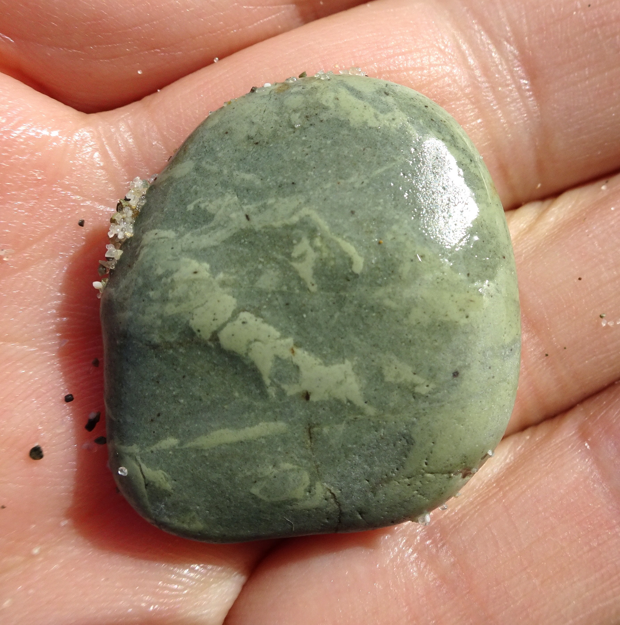 Stone 3, small trace fossil stone, with the trace raised above the surrounding argillite.