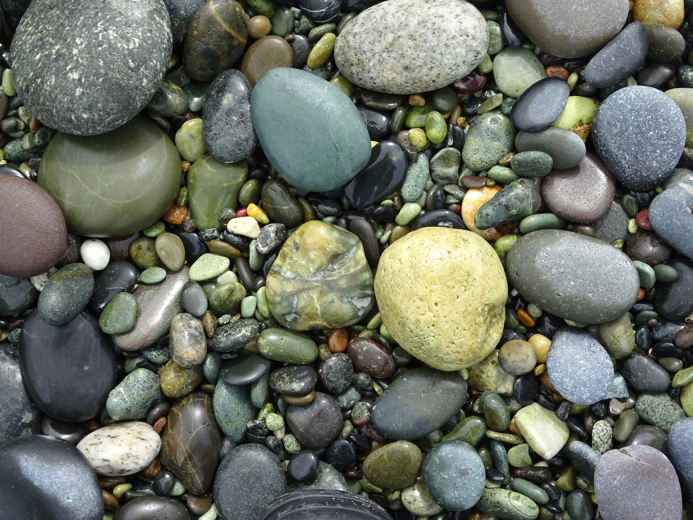 The large hydrogrossular garnet as found on the beach, lying just to the left of the light coloured stone.