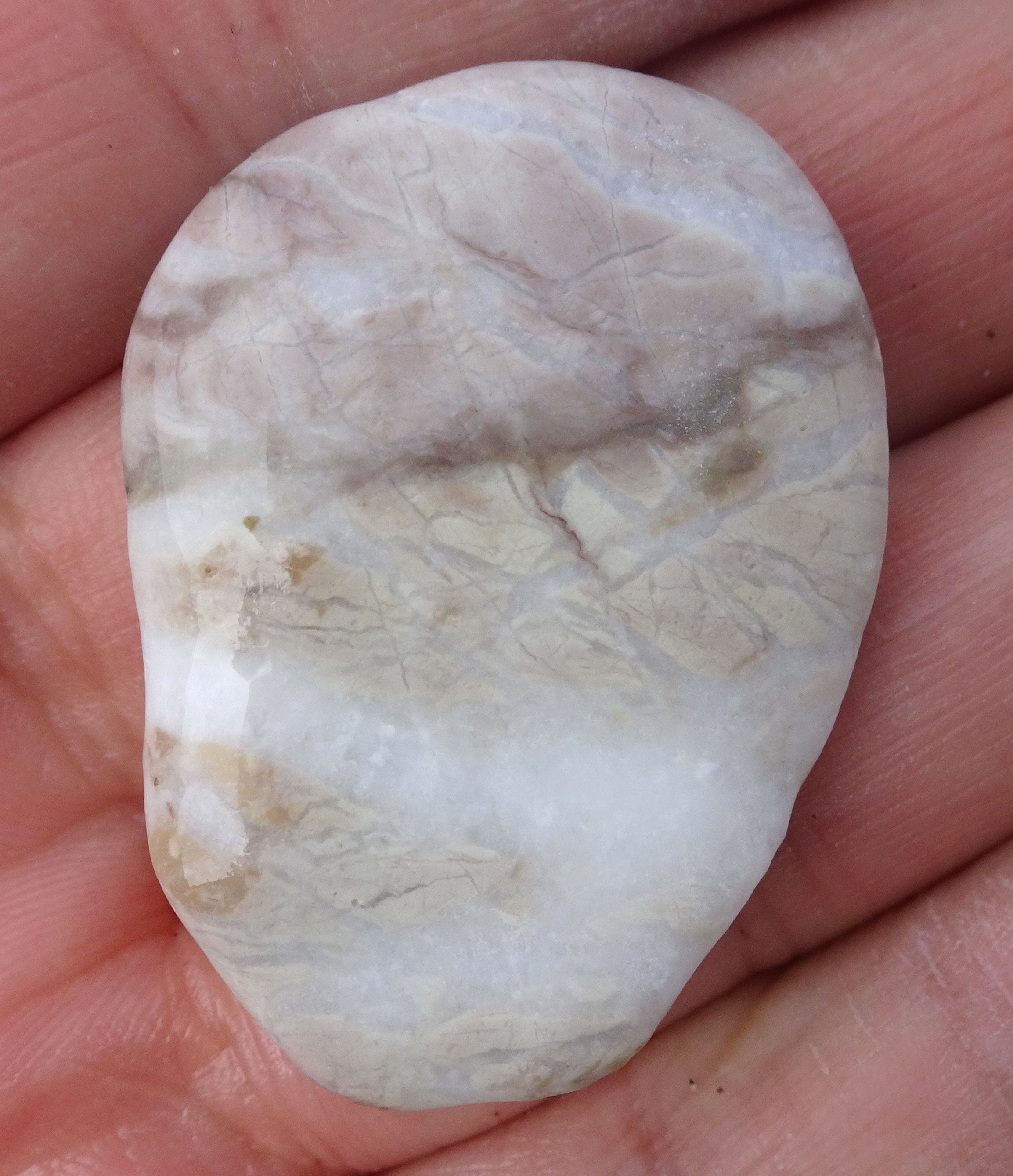 Gorgeous little stone I found at Ward Beach. Could be a quartzite.