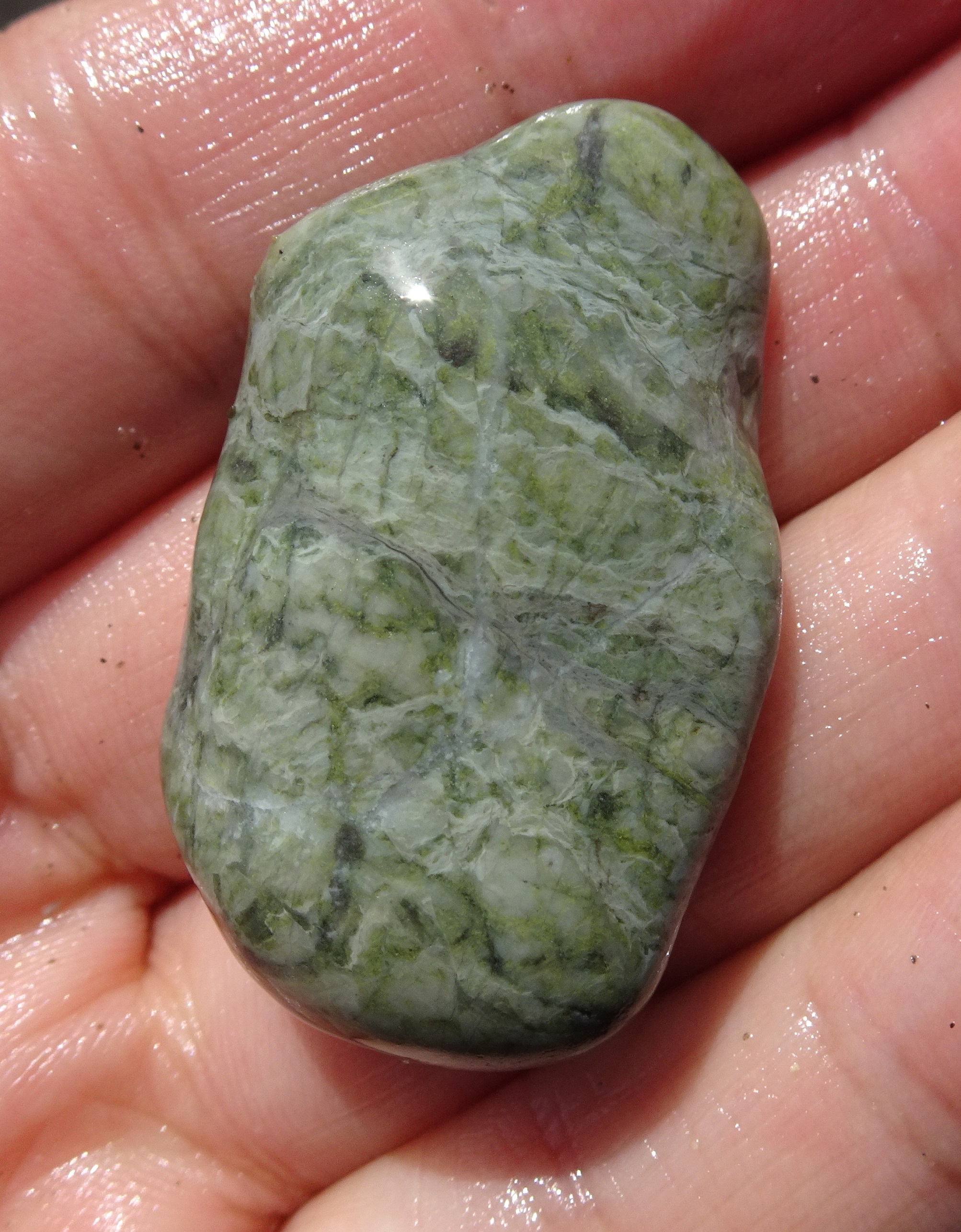 Gorgeous green stone, maybe quartzite?