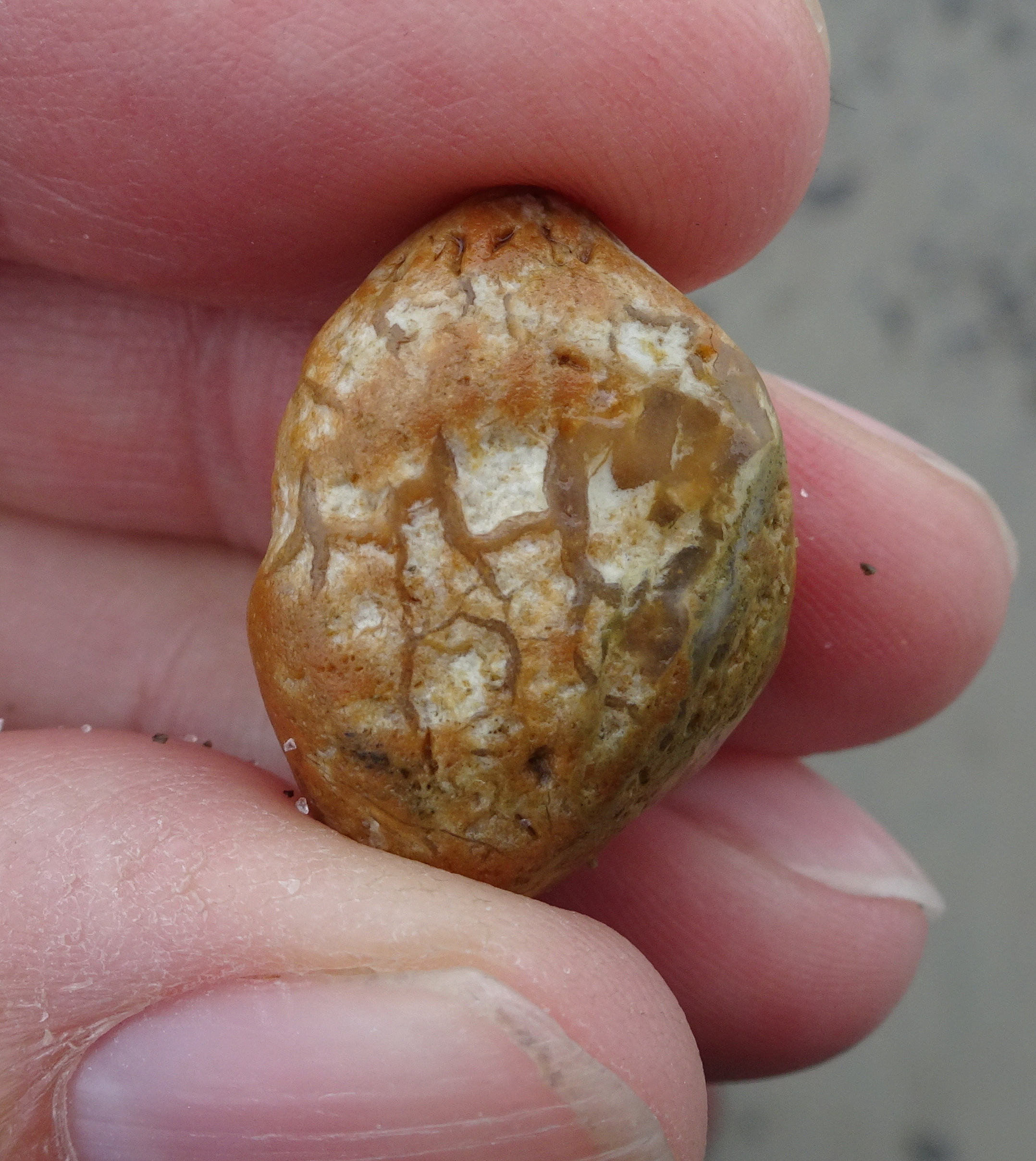 Small stone. likely to have a lot of chaceldony (agate) in it.