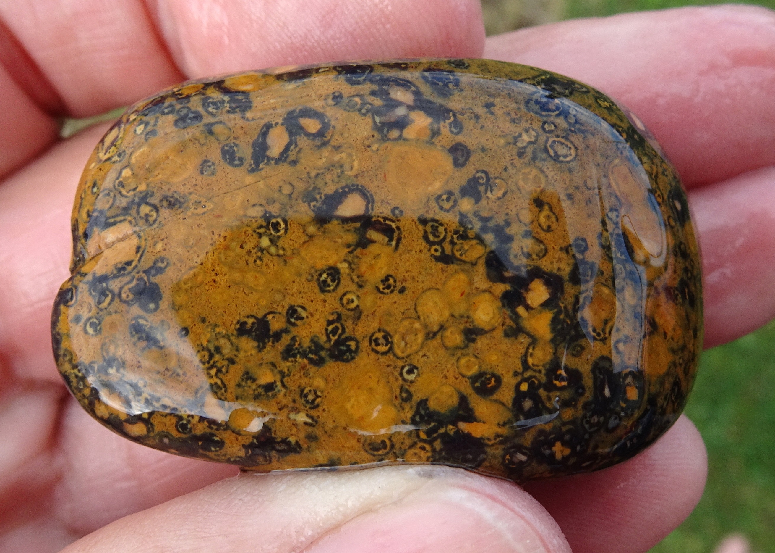 Not sure what kind of stone this is - it could contain small fossils.