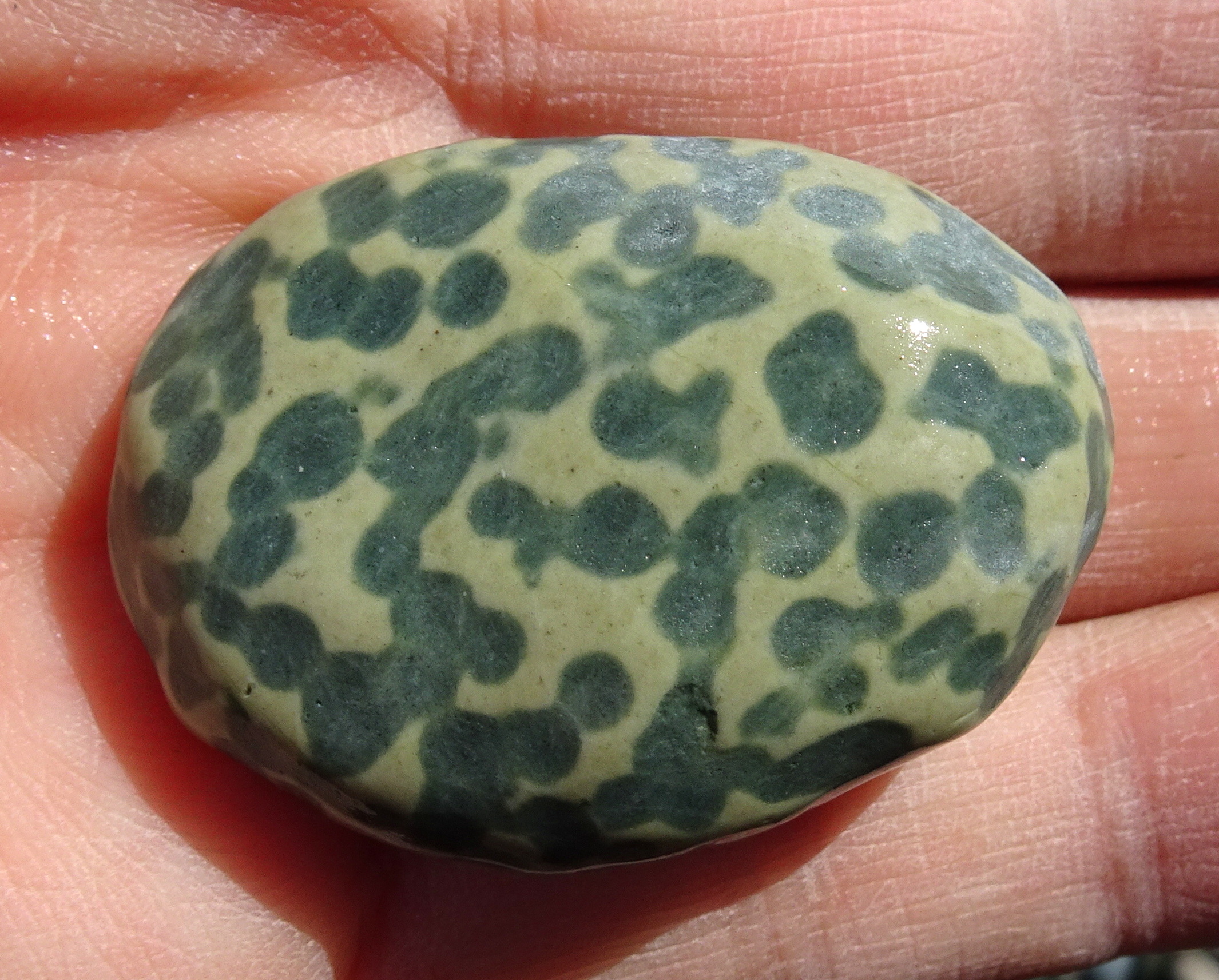 The ligh-coloured material is a higher surface than the dark.
