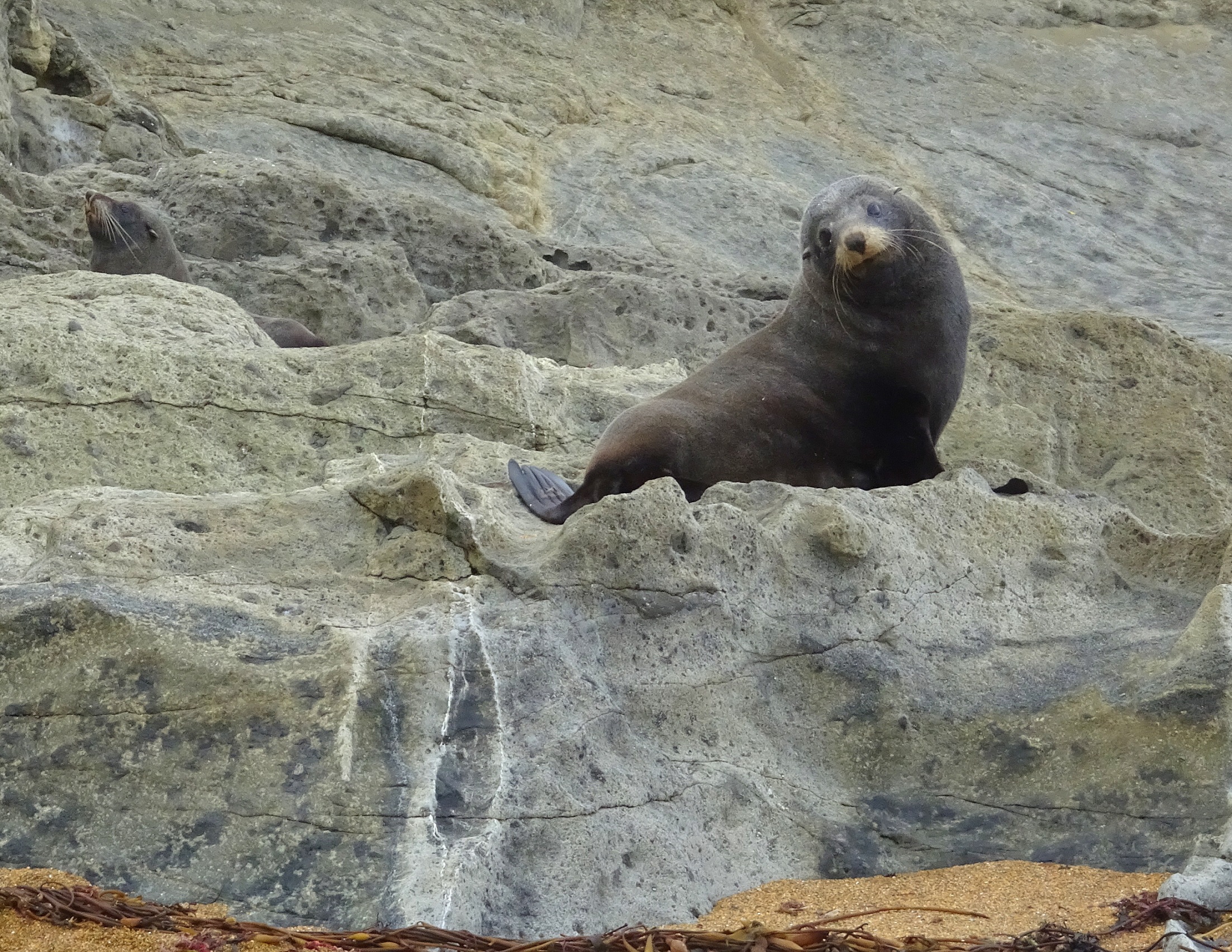 There were seals at both ends of the beach so I did not venture further.