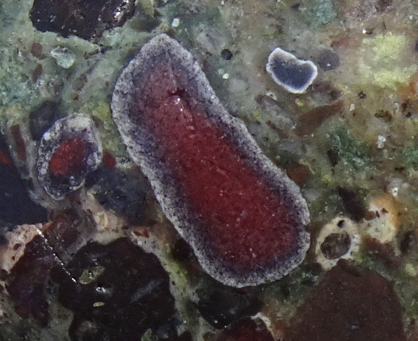 01bzz