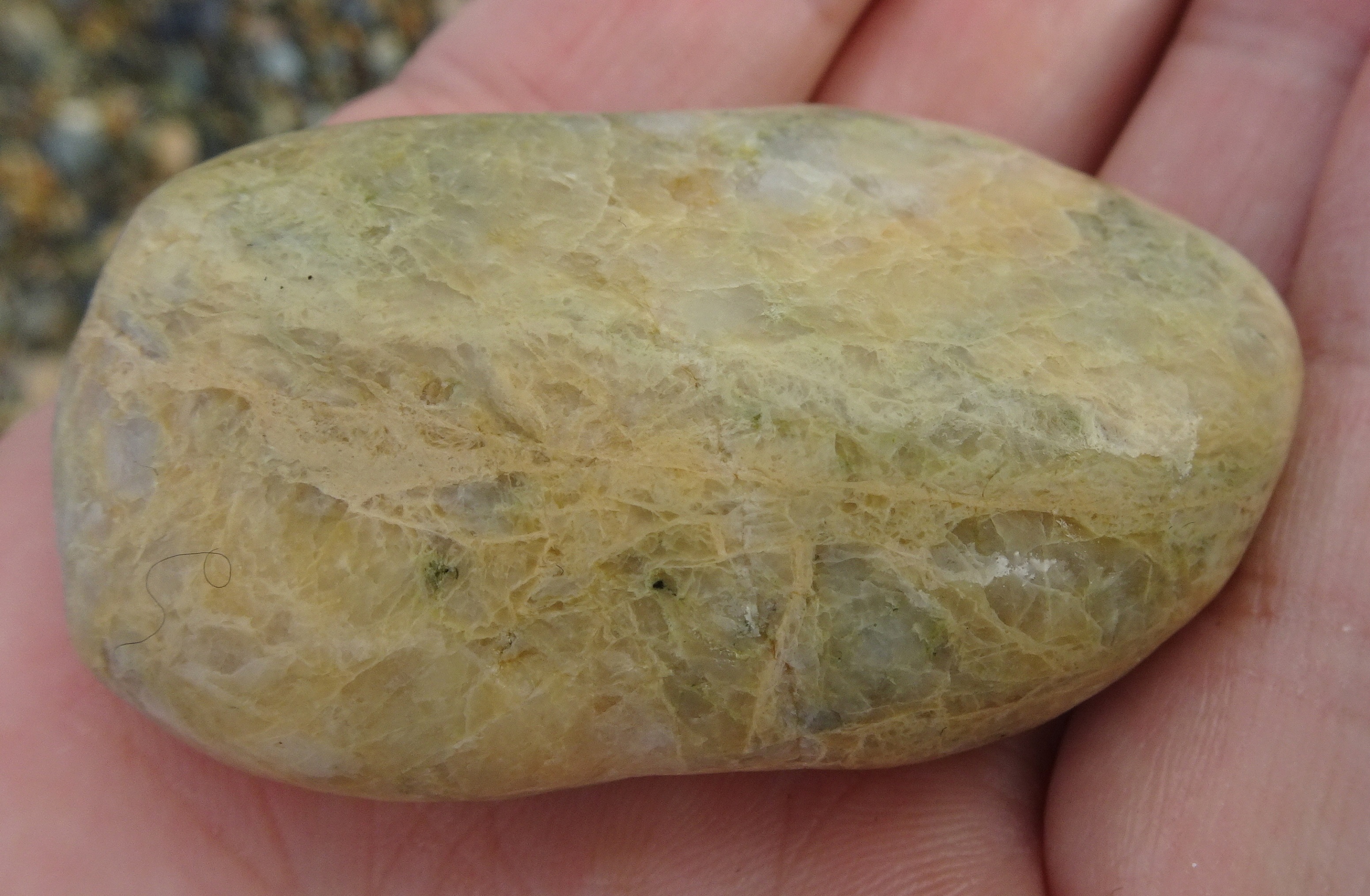 Quartzite, probably.