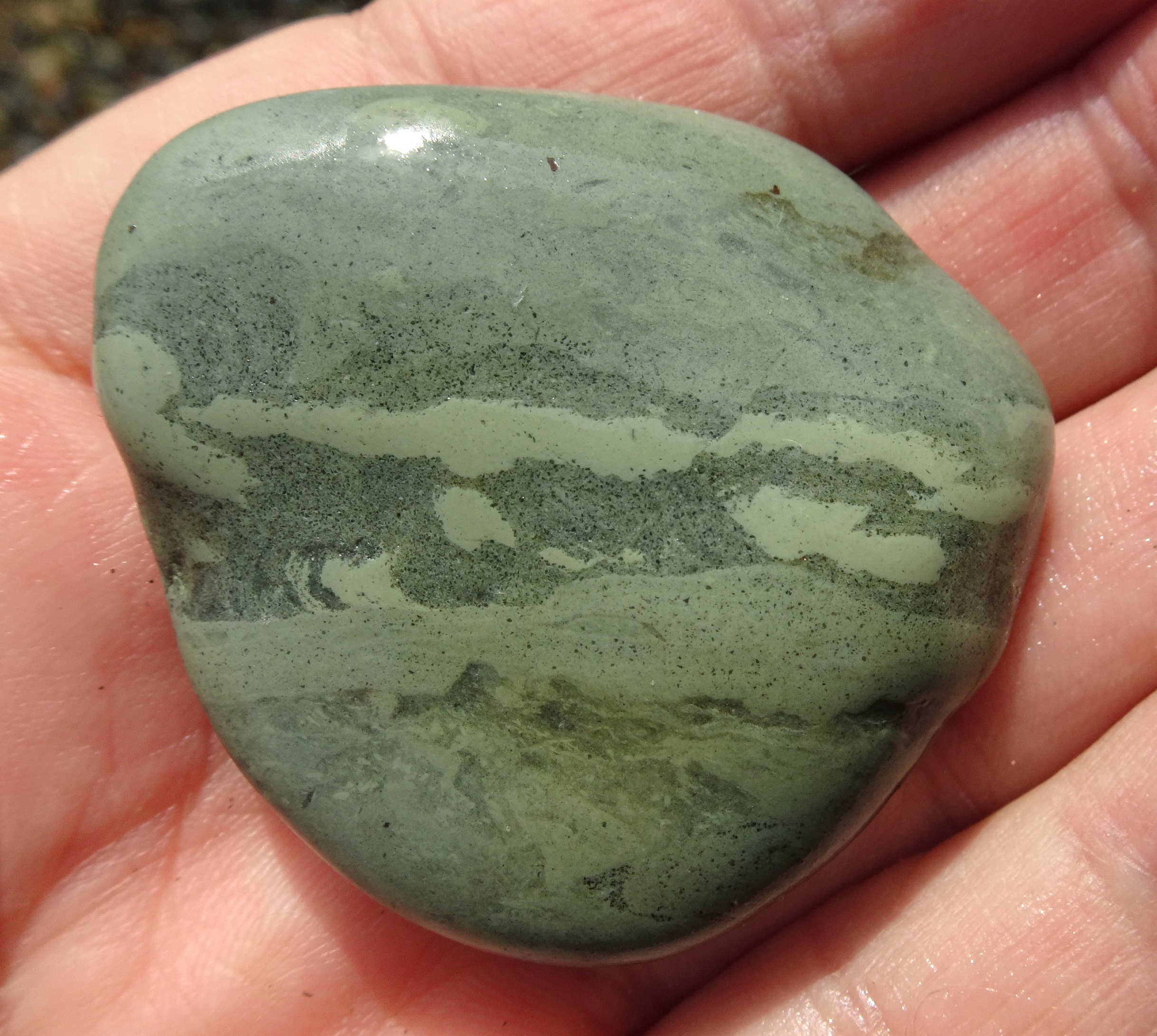 Trace fossil stones (argillite) can be found here (and on other Riverton beaches).
