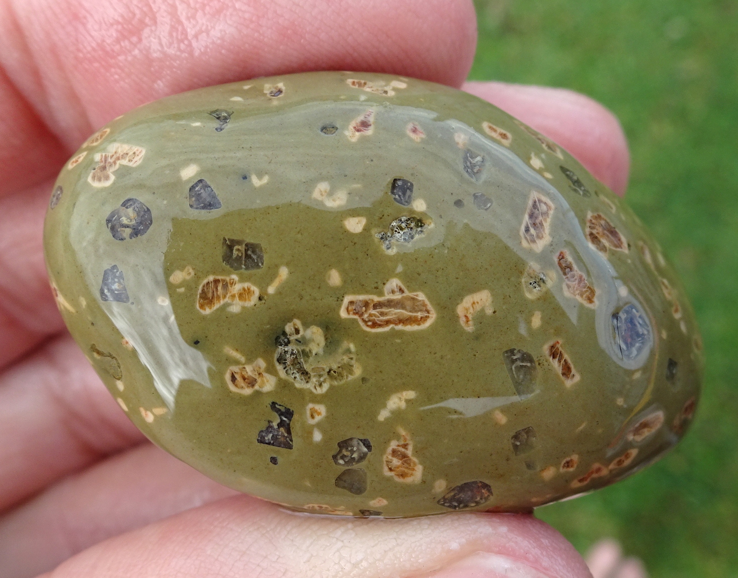 I don't know what this stone is. It was found by Oliver who generously gave it to me when I admired it.