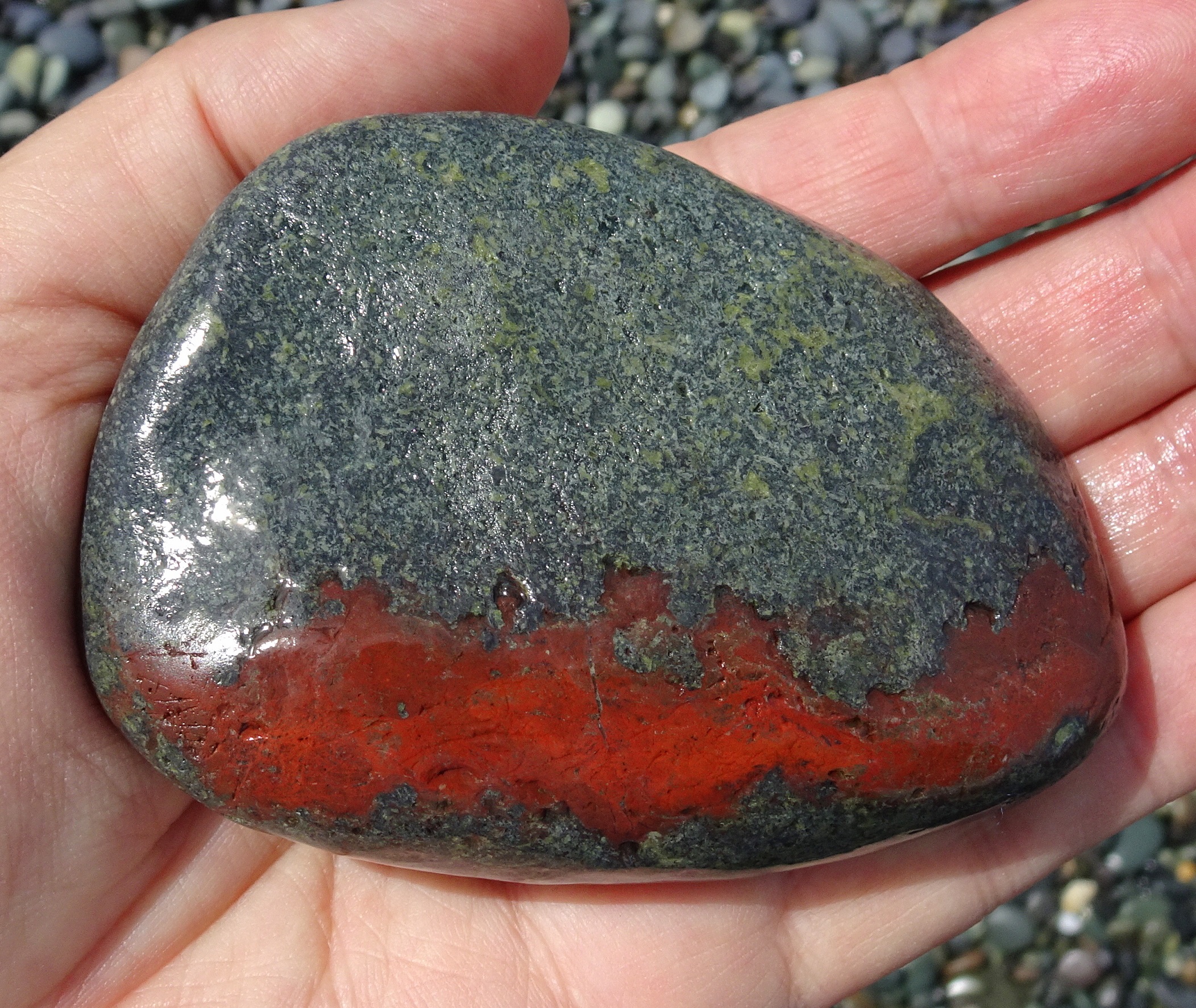 The flash of red caught my eye. My backpack was heavy at this stage and I decided to leave this one on the beach.
