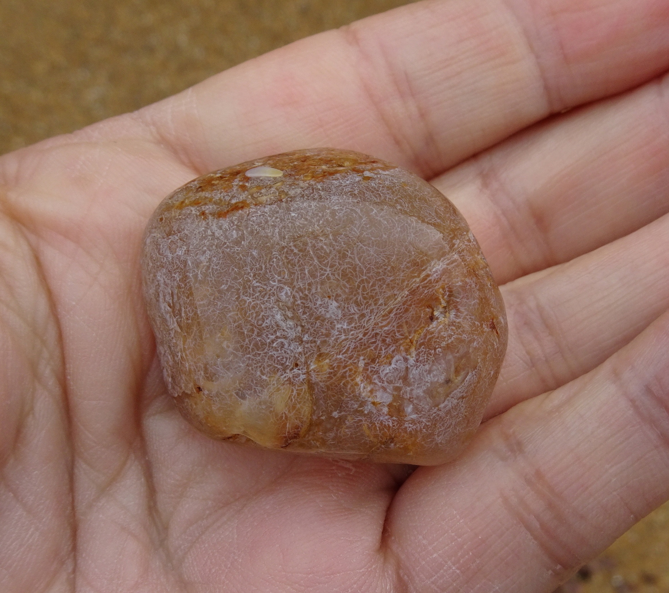 Beach agate, wet.