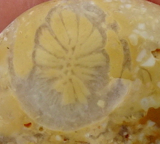 08zz22