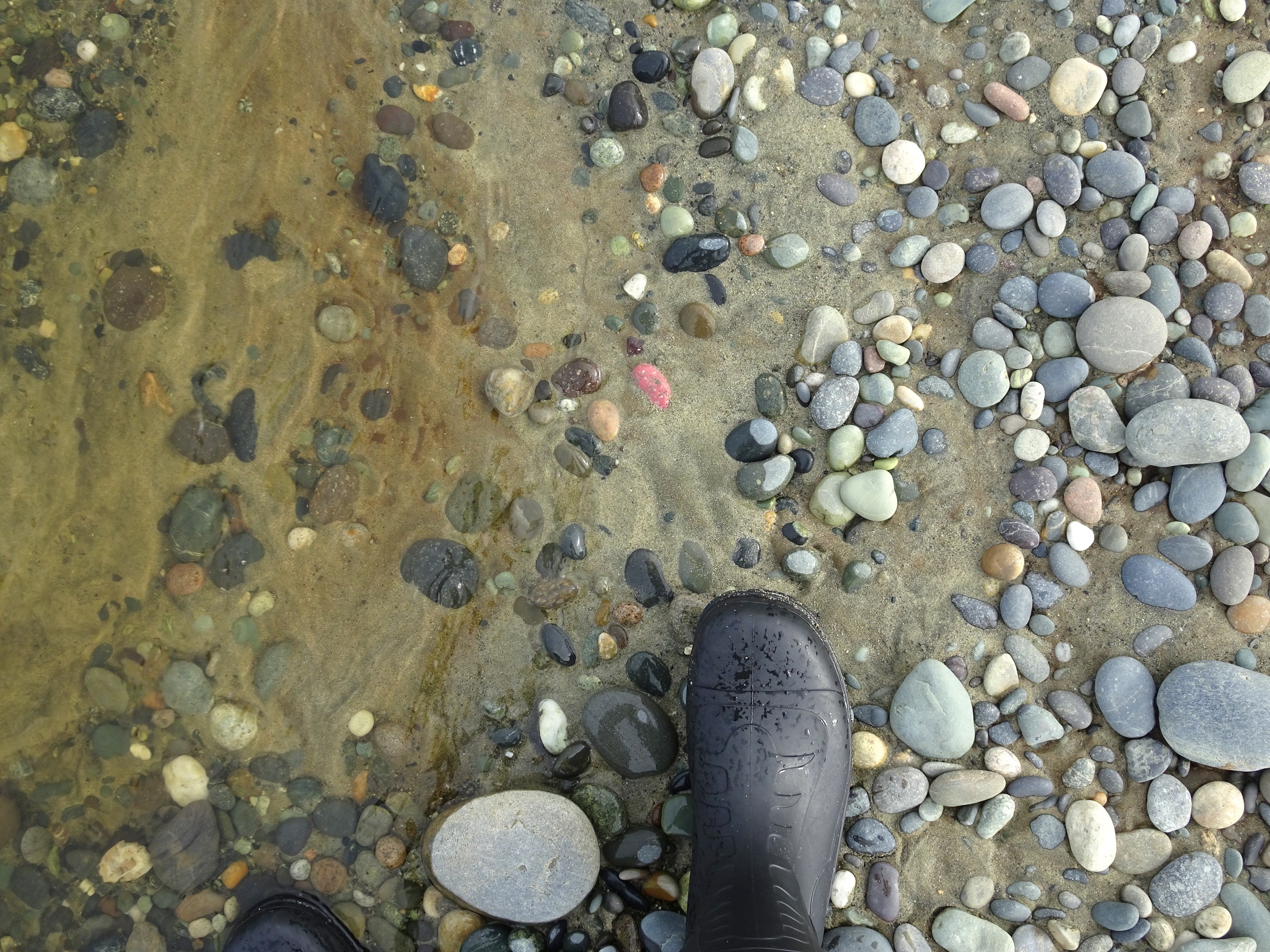 In the sand on the edge of a stream.