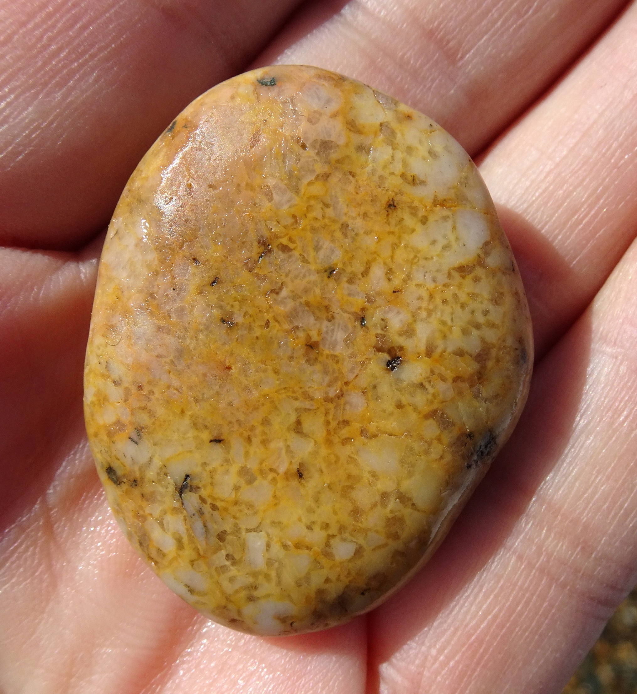A Tihaka Beach stone, one of the few I pocketed.