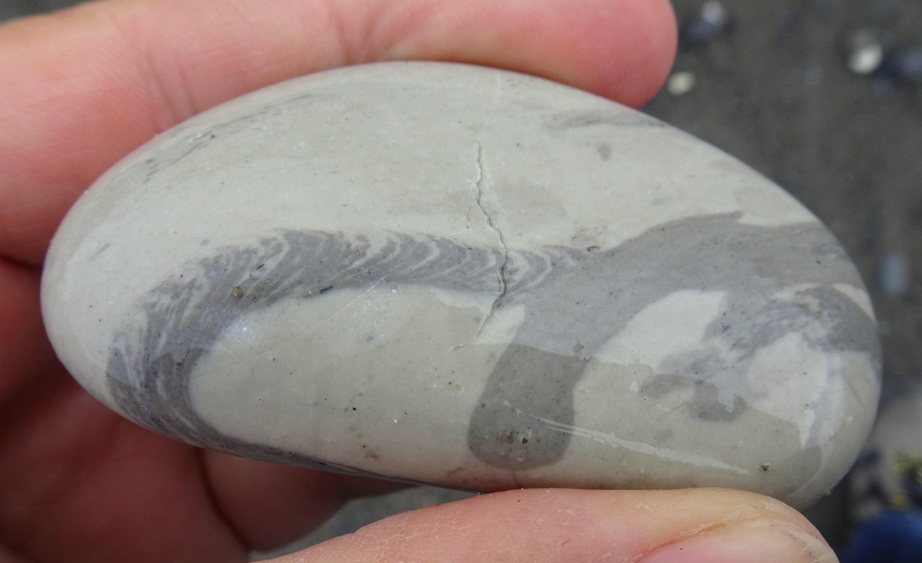Zoophycos trace fossil. The nested curving chevron-shaped trace is one I find particularly attractive.