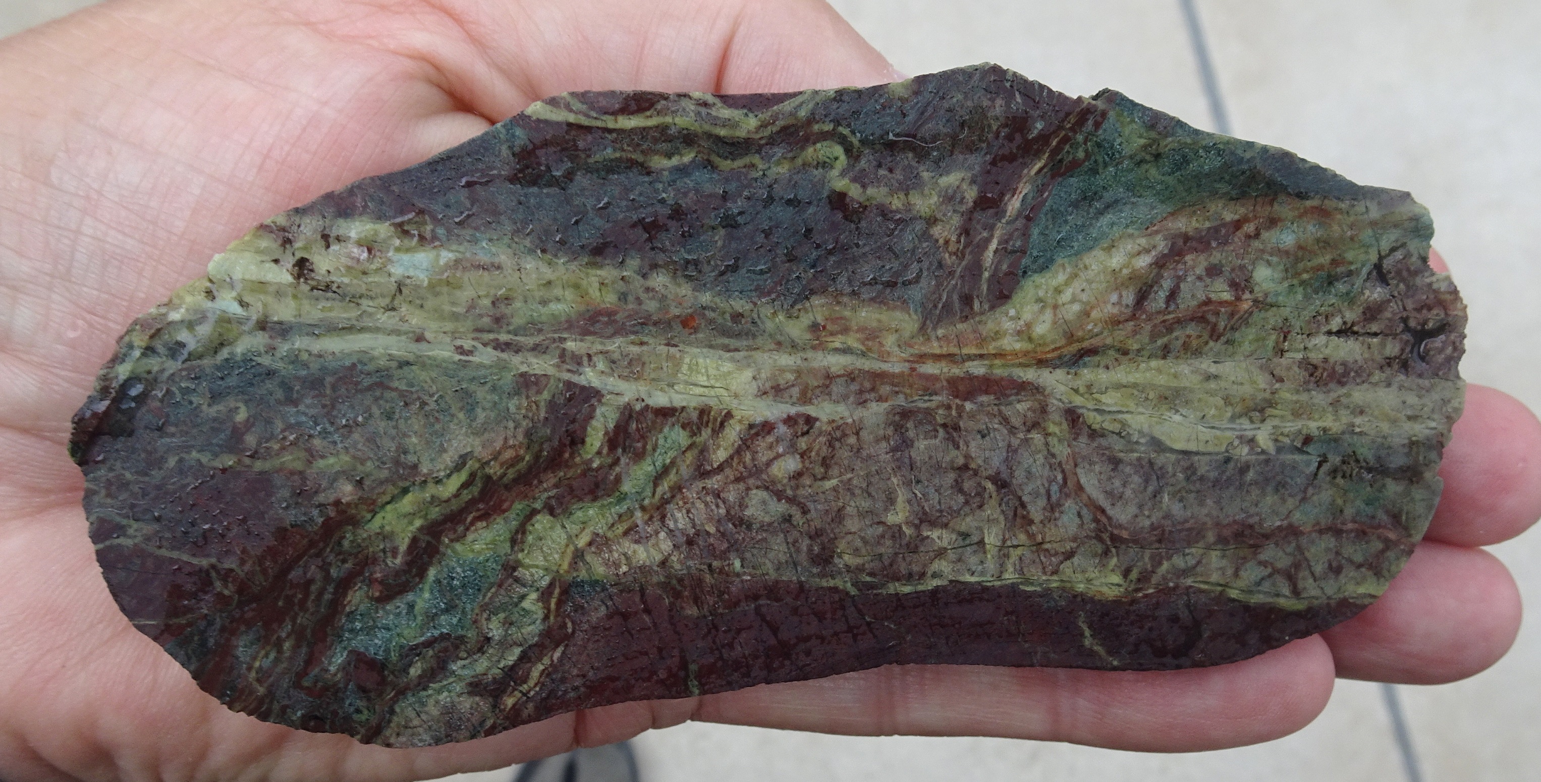 One of Penny Farmer's cut slices that she kindly gave to me. Probably jasper.