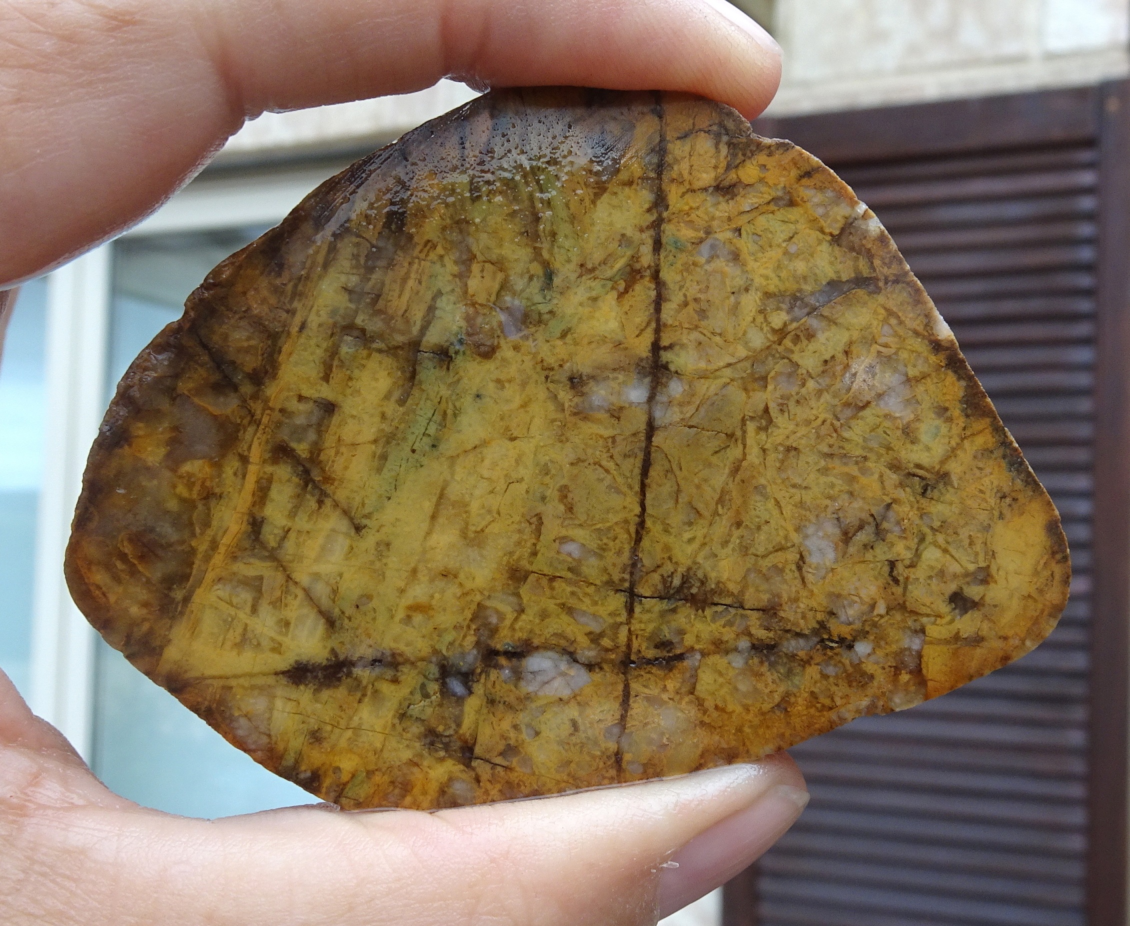 Another of Penny Farmer's cut slices that she kindly gave to me.. Again, probably jasper.