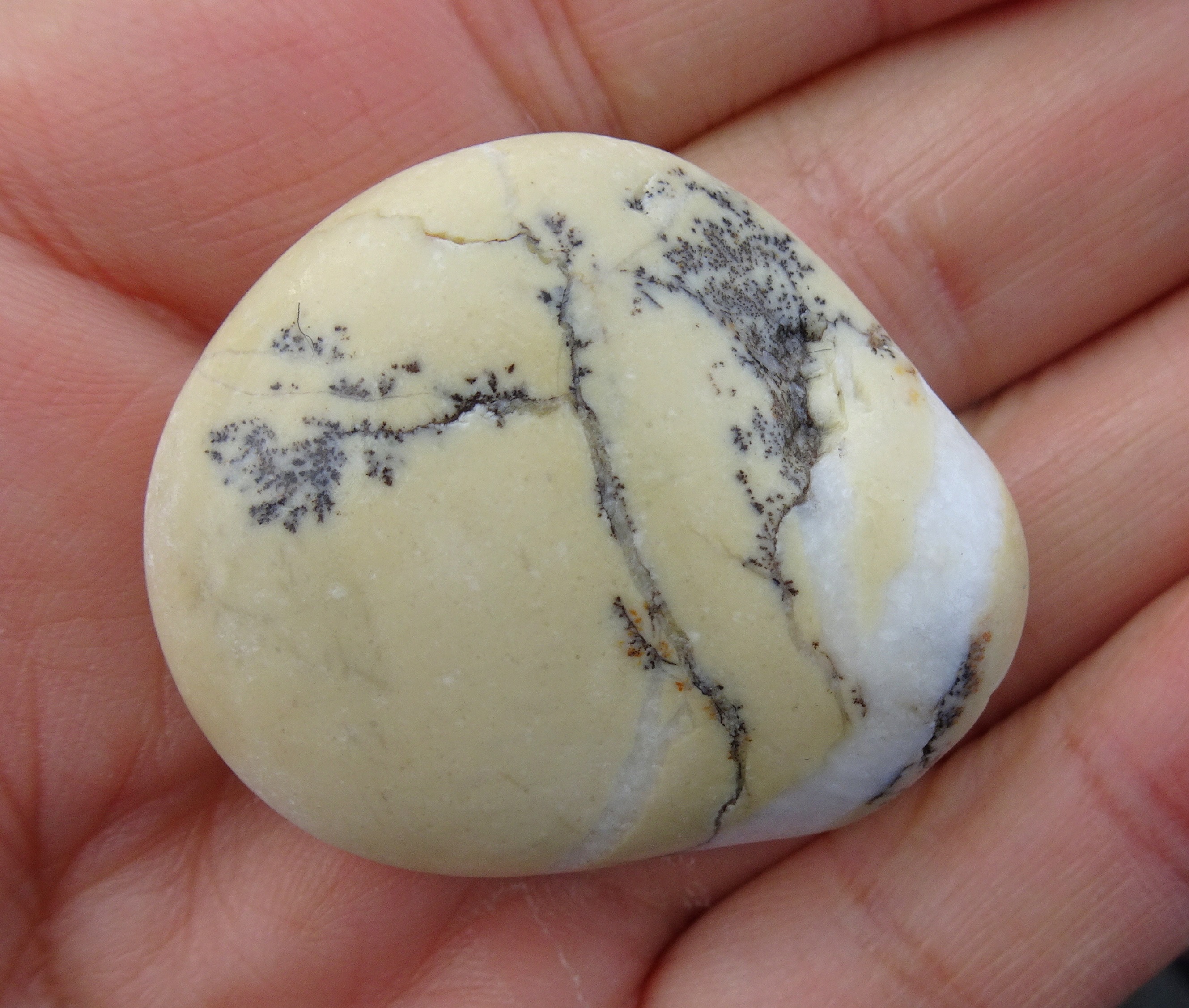 Dendrites in a stone.