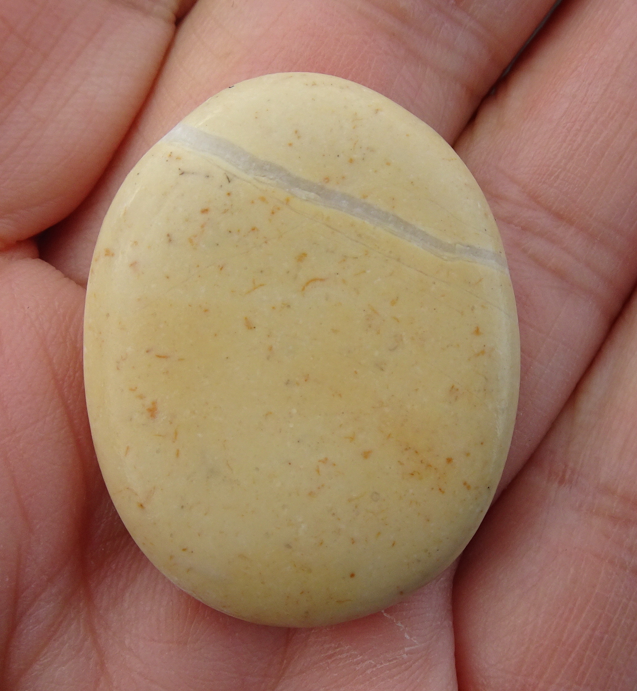 Limestone. Likely to be too soft to polish.