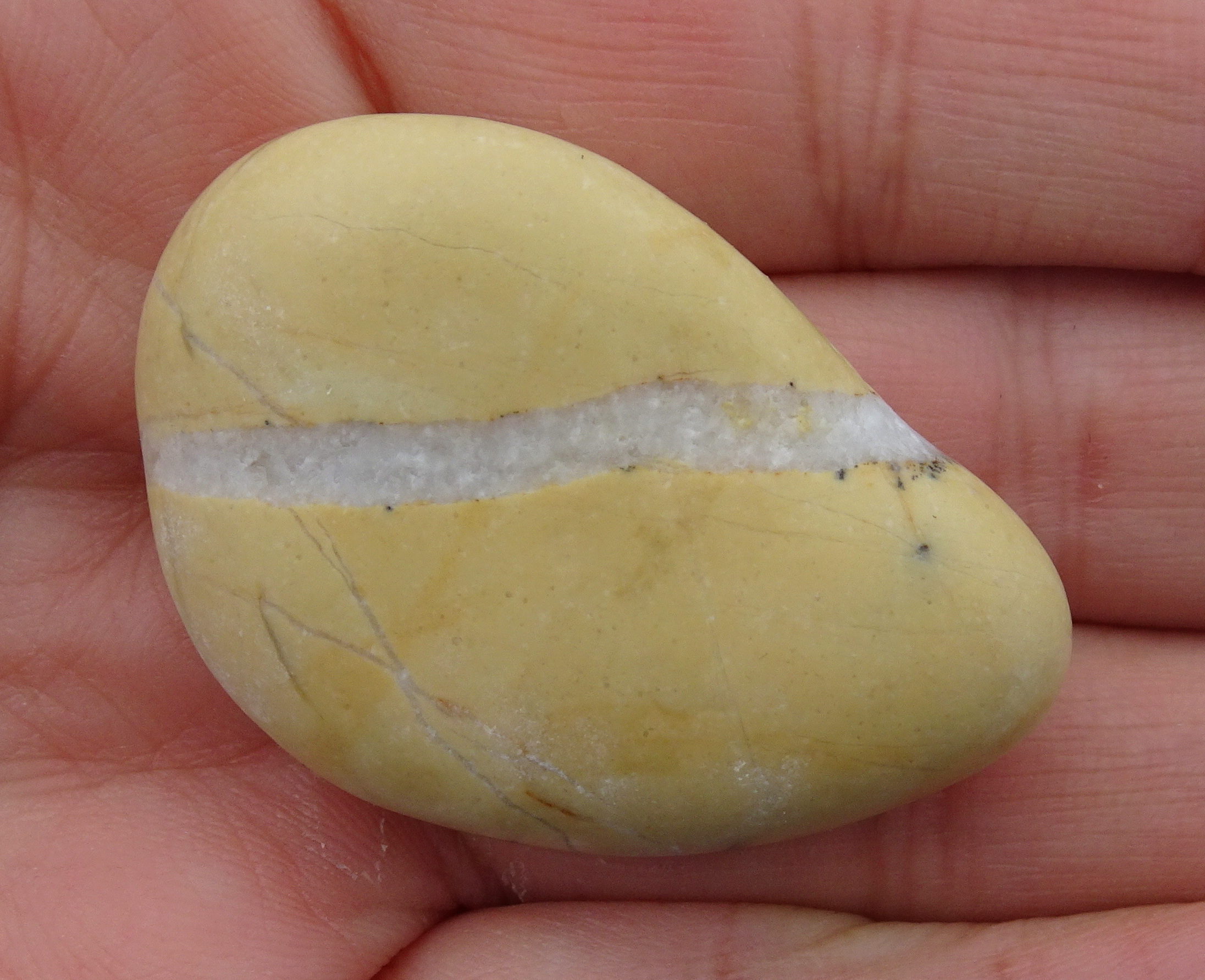 Limestone. Likely to be too soft to polish.