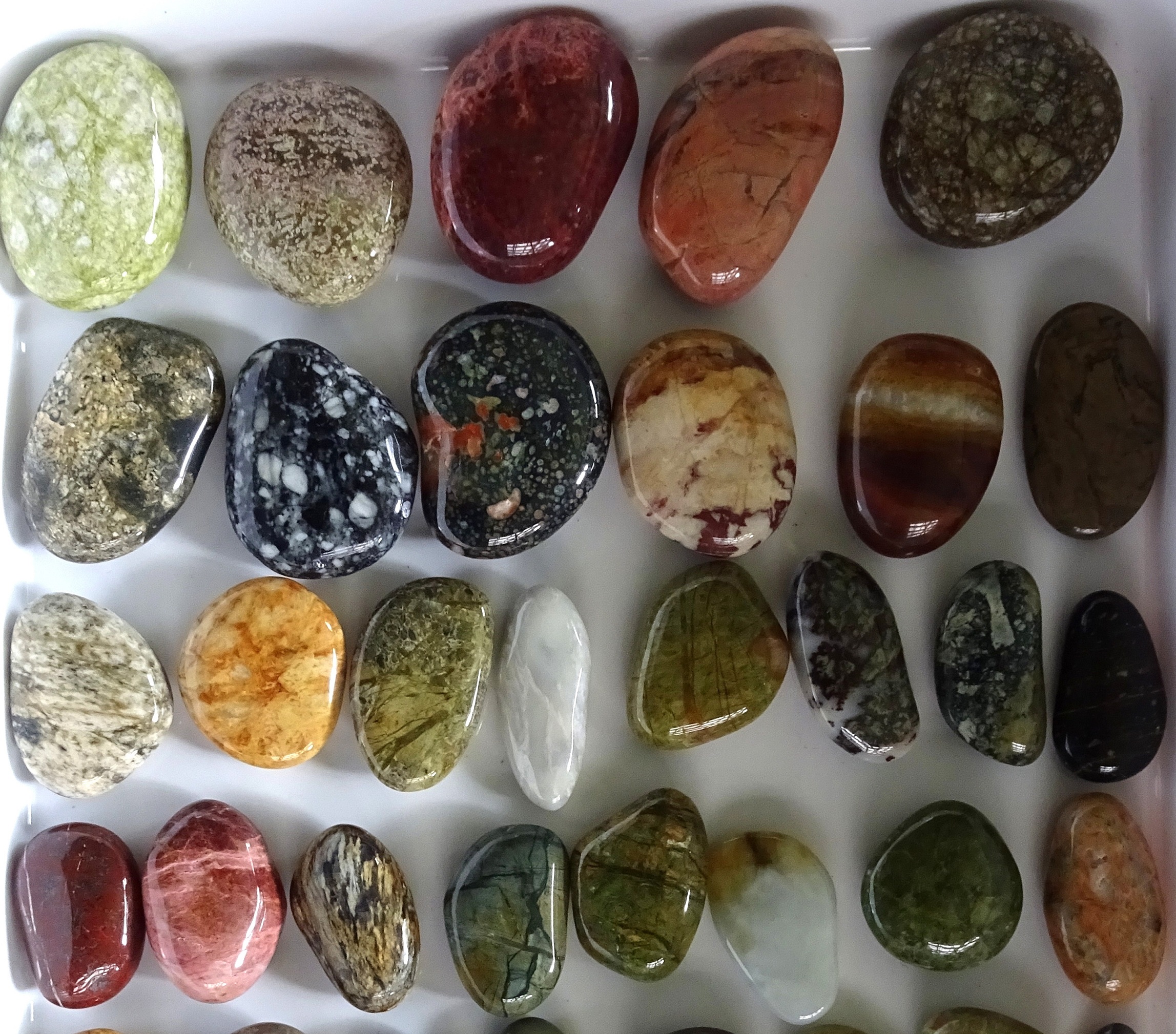Some Gemstone Beach stones, just out of the tumble polisher.