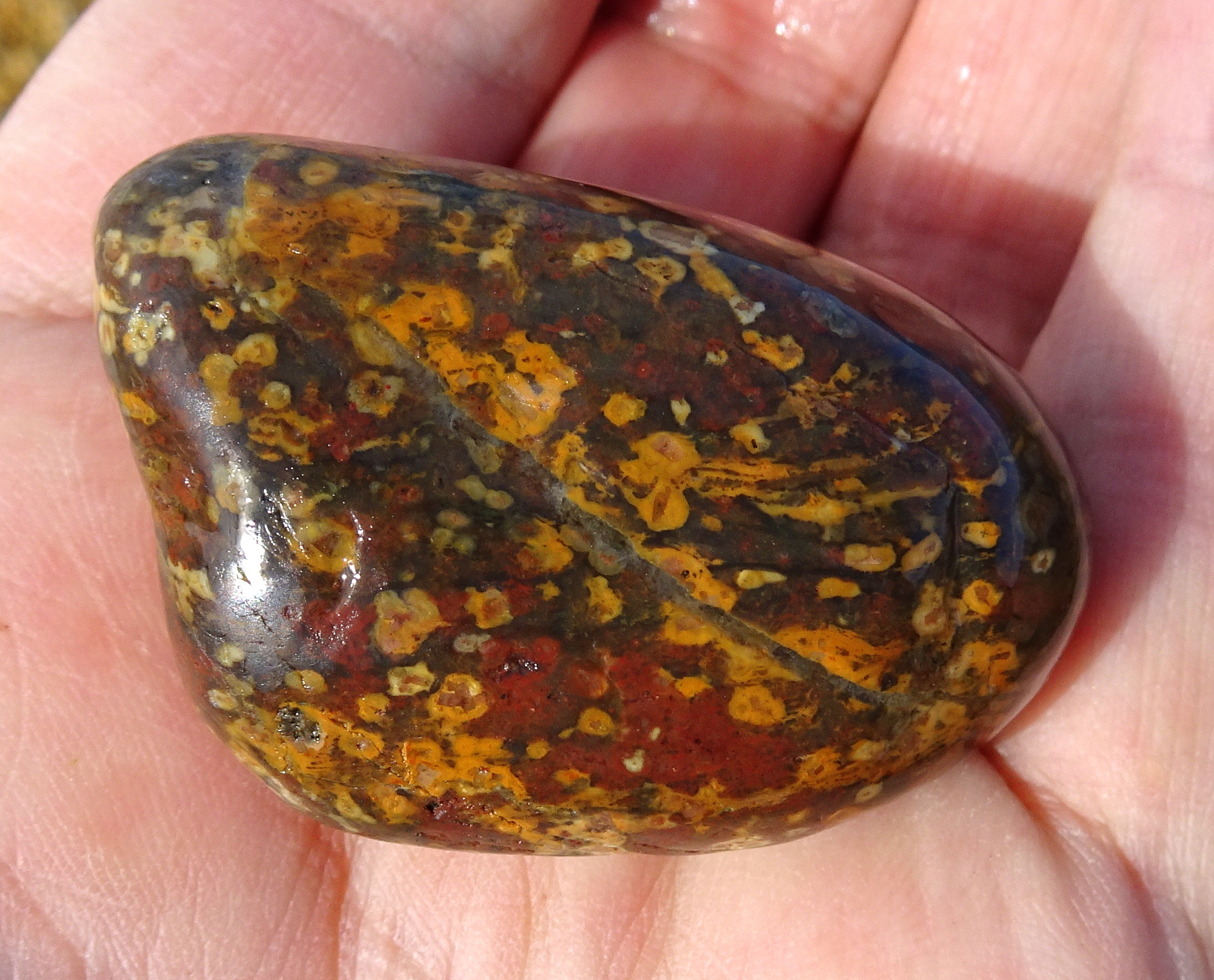 Probably rhyolite.