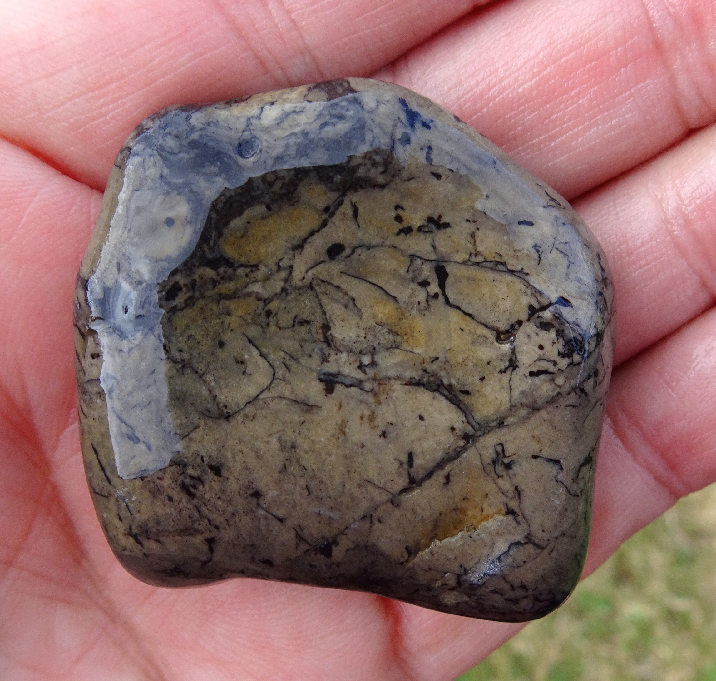 Some kind of fossilised forest floor or??