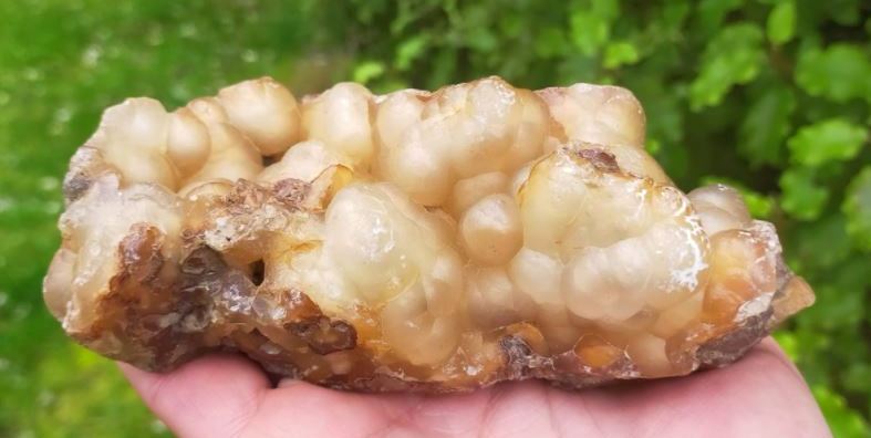 Moeraki area botryoidal chalcedony. Source: https://www.facebook.com/TheFamilyJewelsDunedin/posts/154609632961753