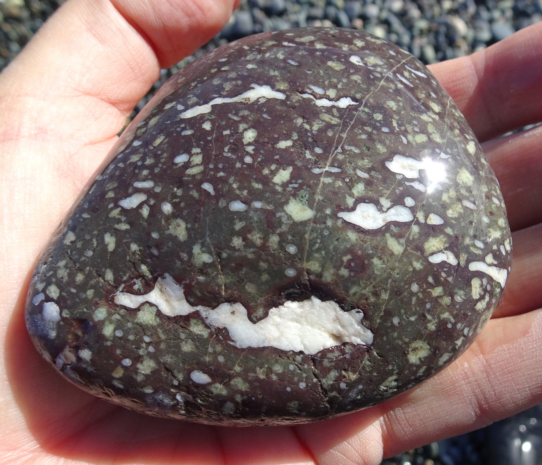 I wonder if the white material might be agate?? Or quartz?? Close-up next photo. Left on the beach because too big.