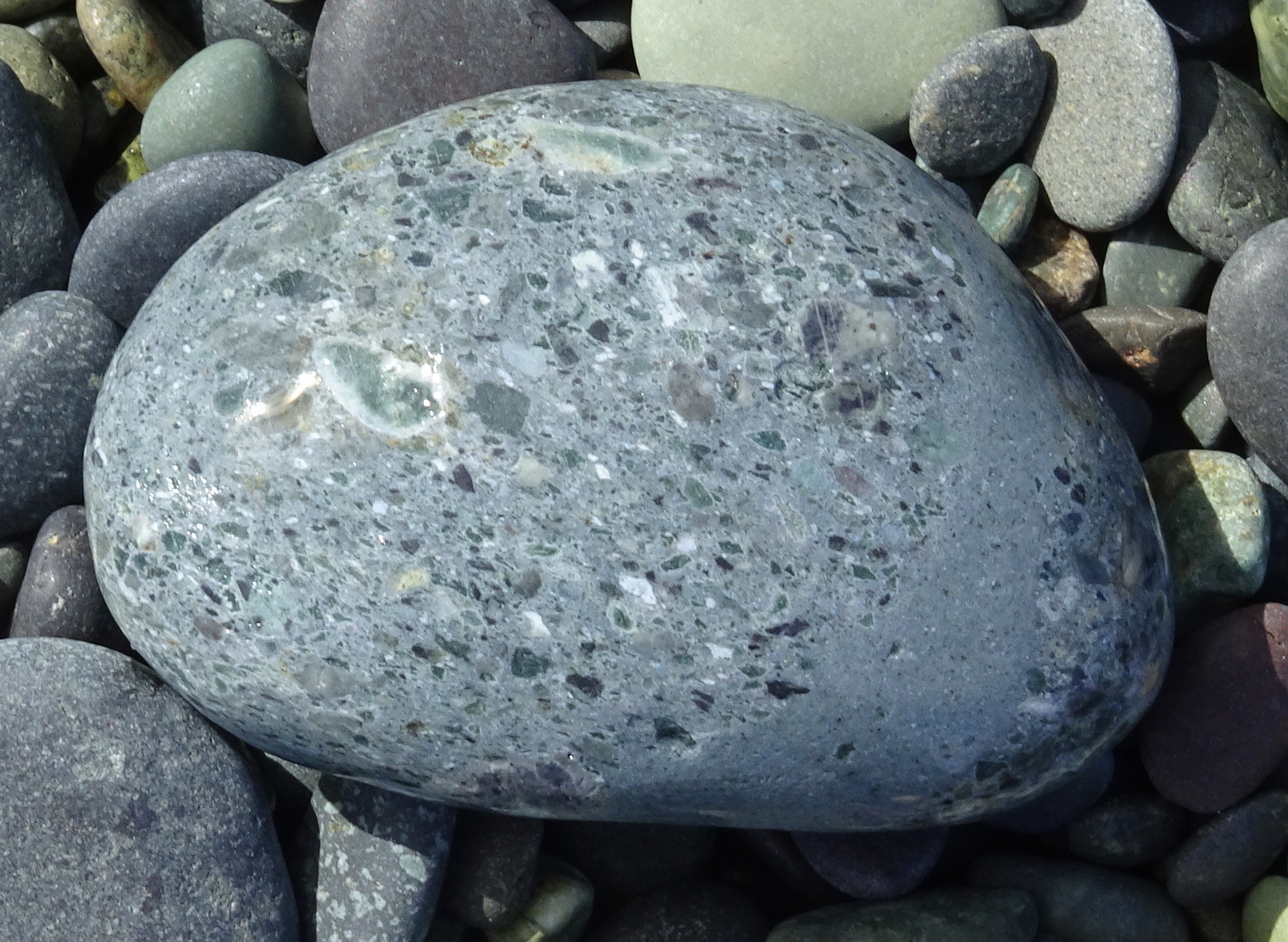 Breccia with shell fossil, too big.
