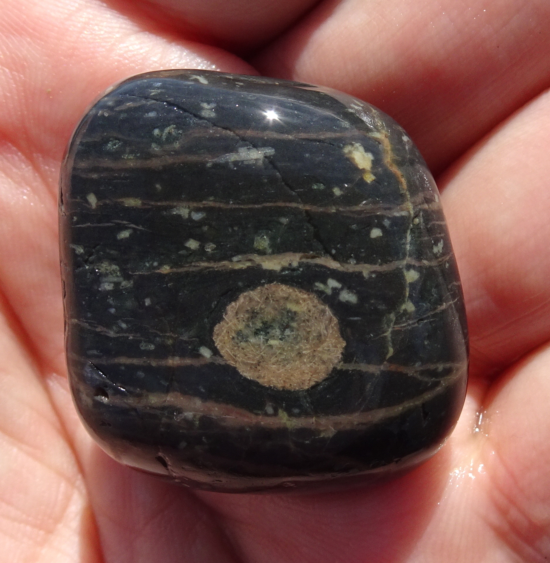 Small banded ignimbrite.