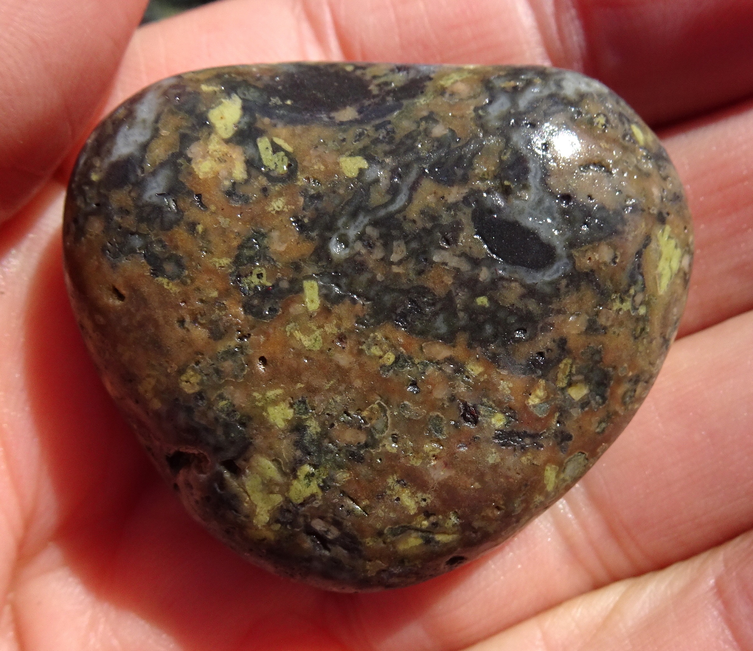After my visit to Slope Point yesterday, I became more aware of rhyolite on Gemstone Beach.