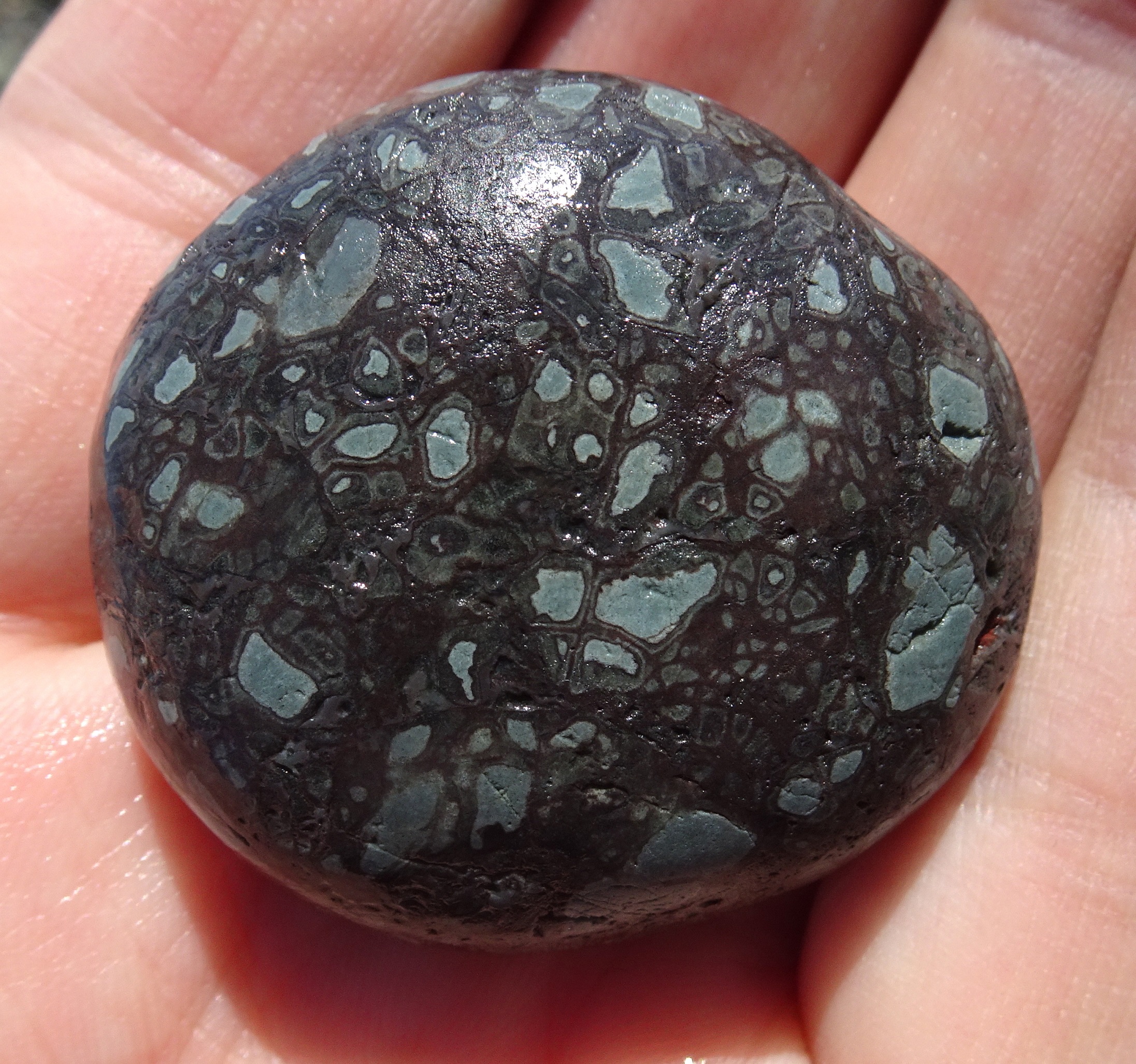 Small complex-patterned stone.