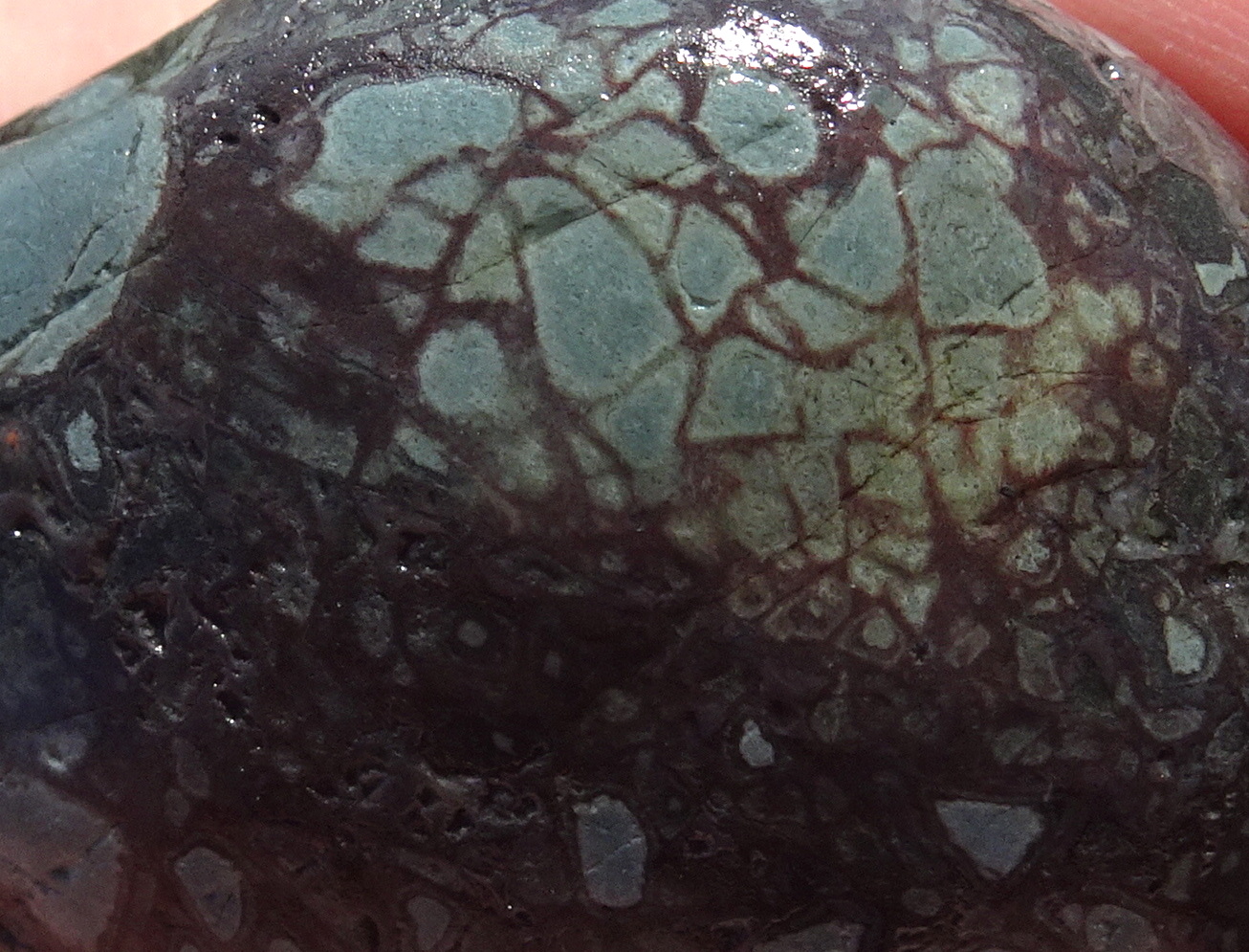 v04c