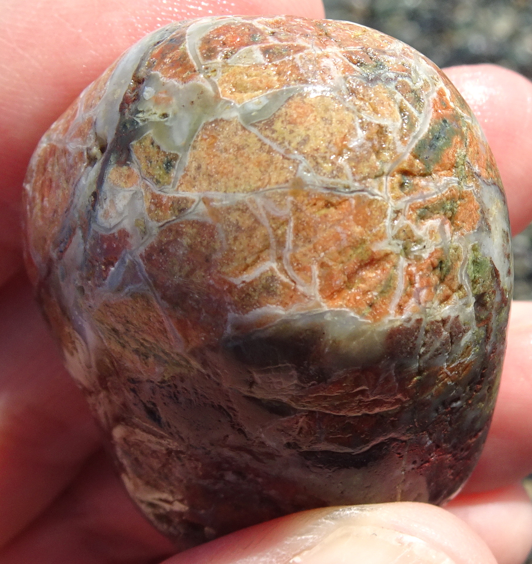 Another fascinating small stone.