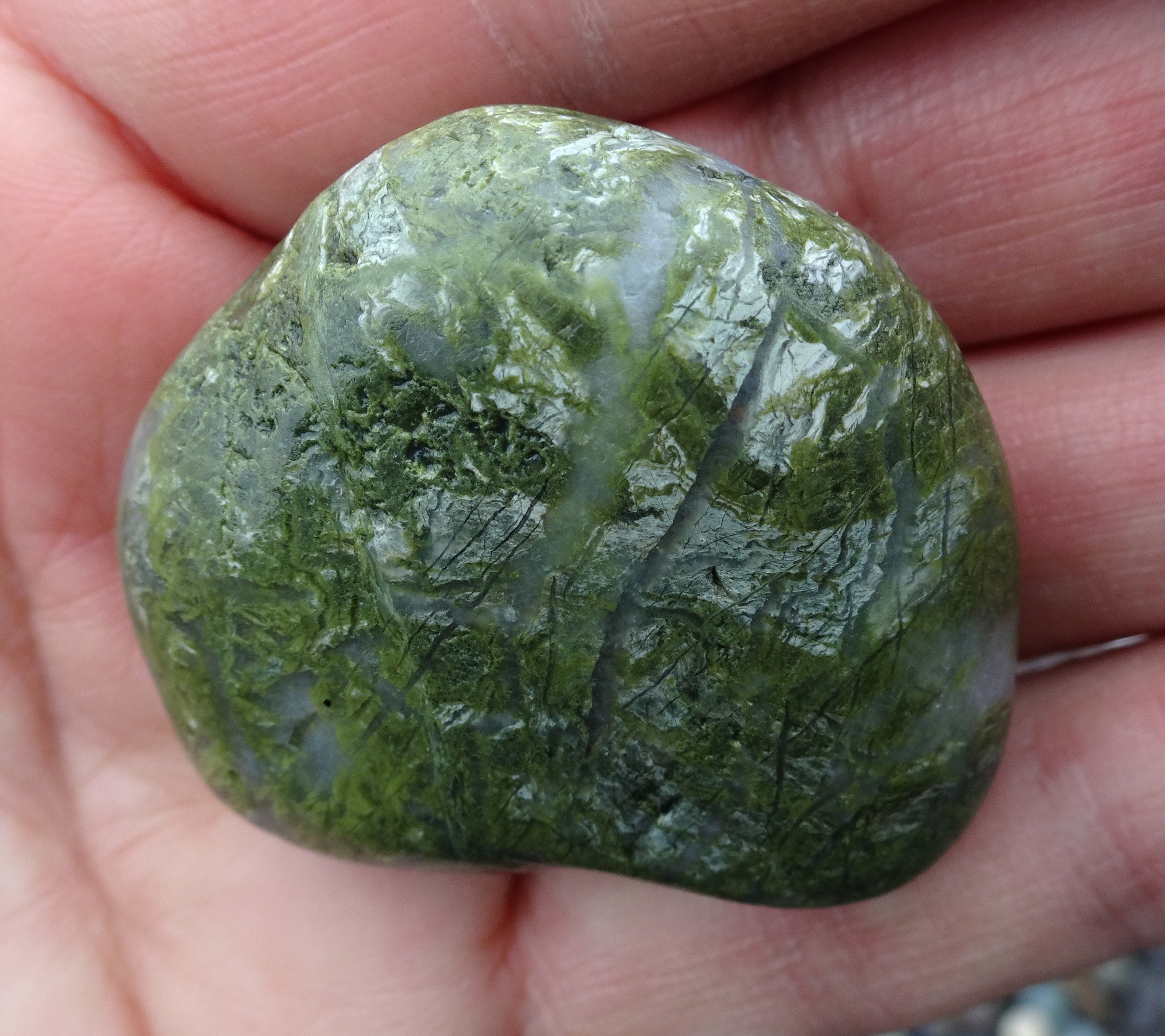 Quartzite, with unusual white patches.