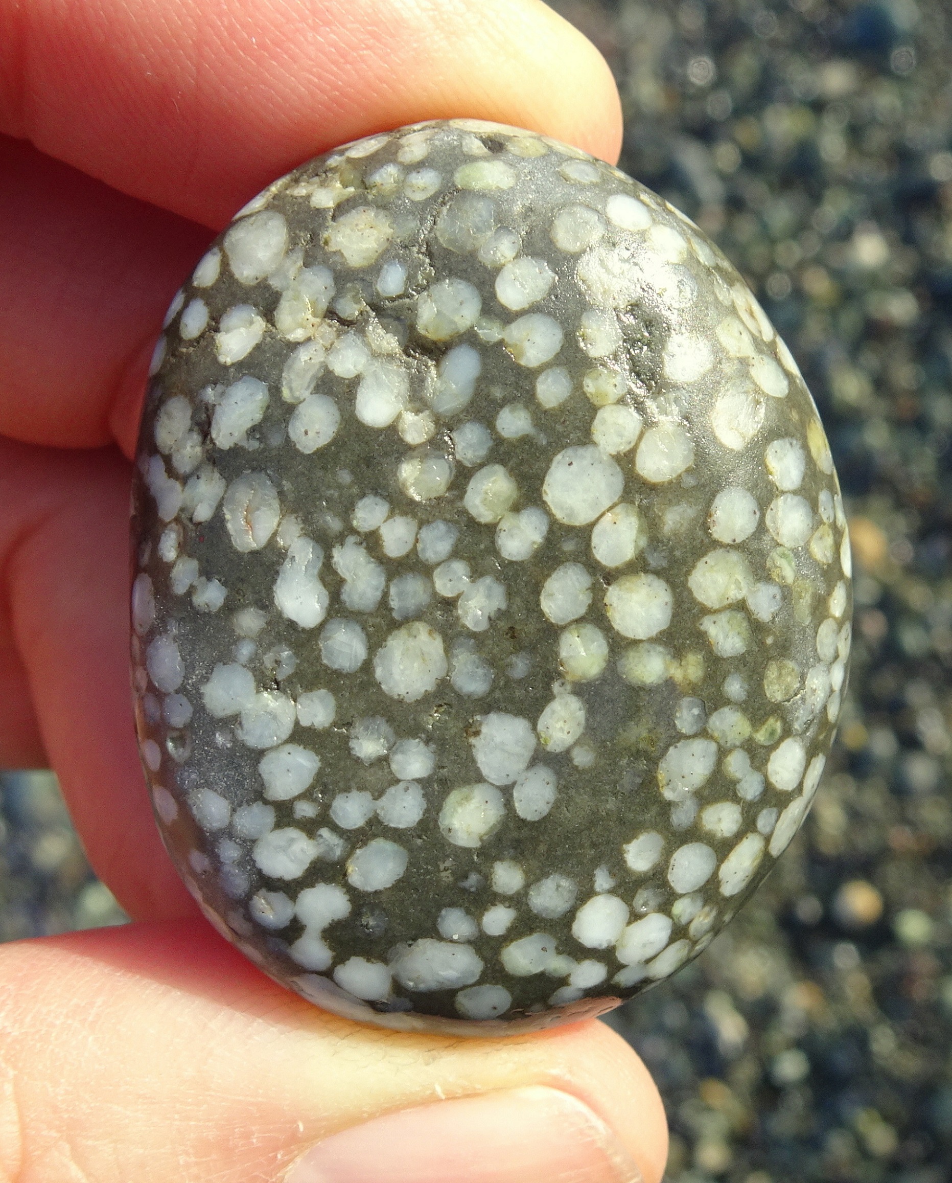 Amygdaloidal stone.