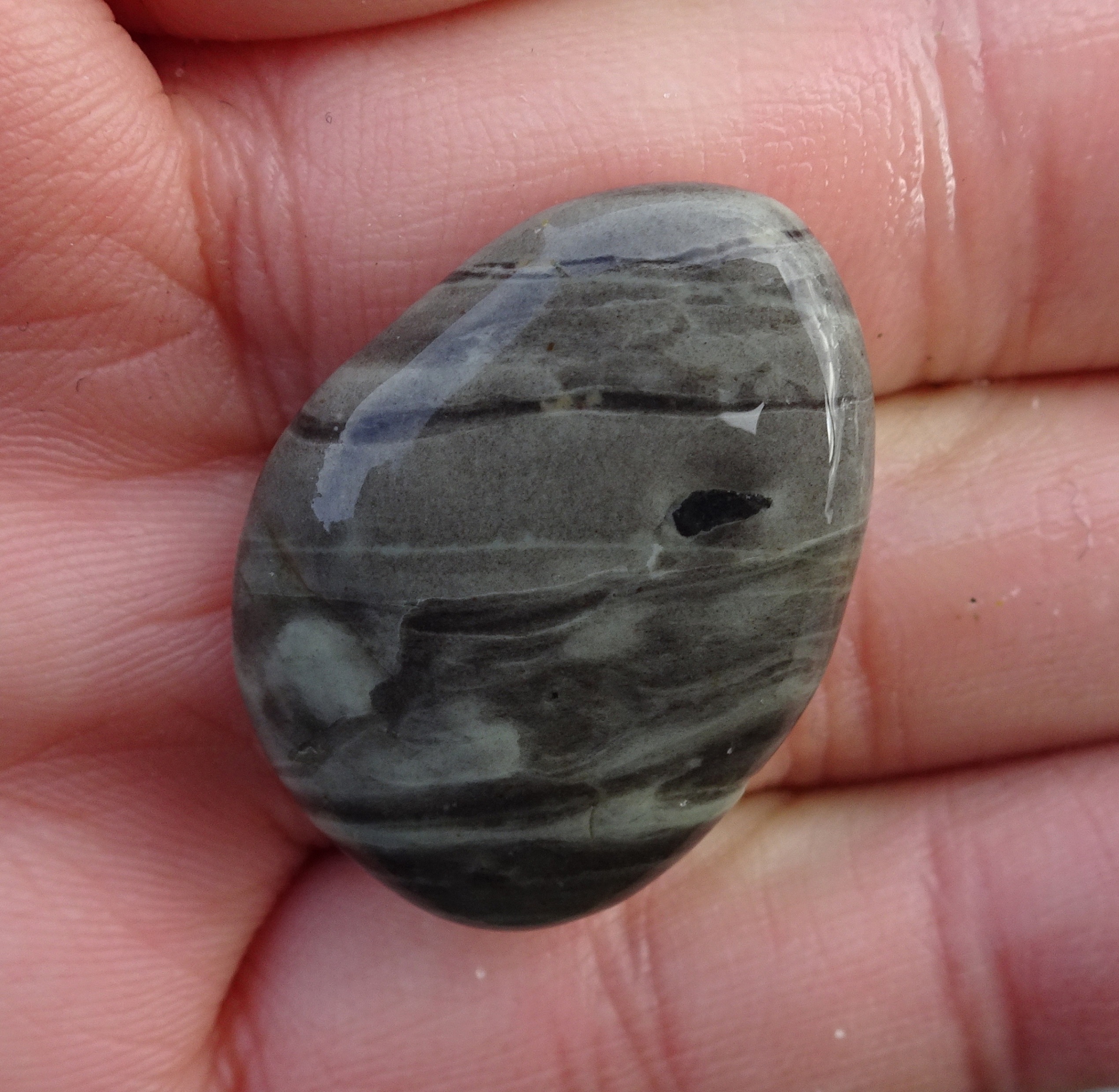 Probably banded argillite.