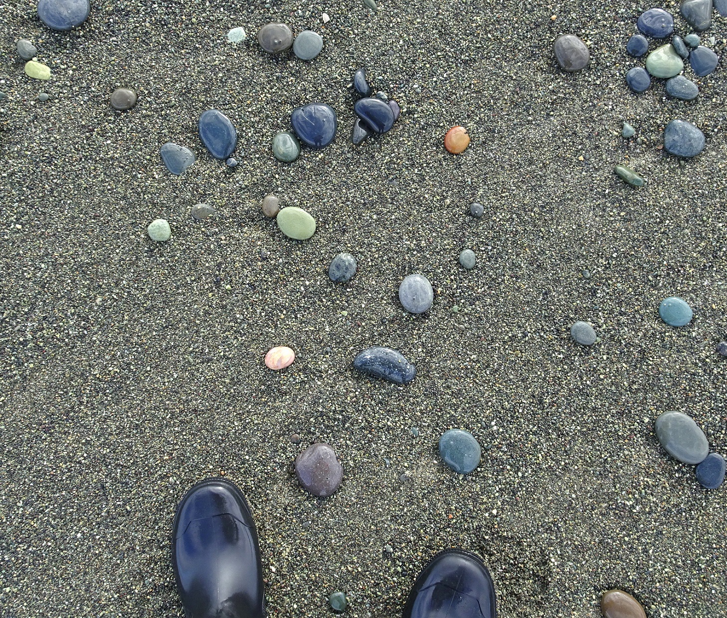 The massed piles of stones ran out at one point on the beach and I went over to walk through a few scattered stones near the edge of the waves... and there it was! Just in front of my left boot.