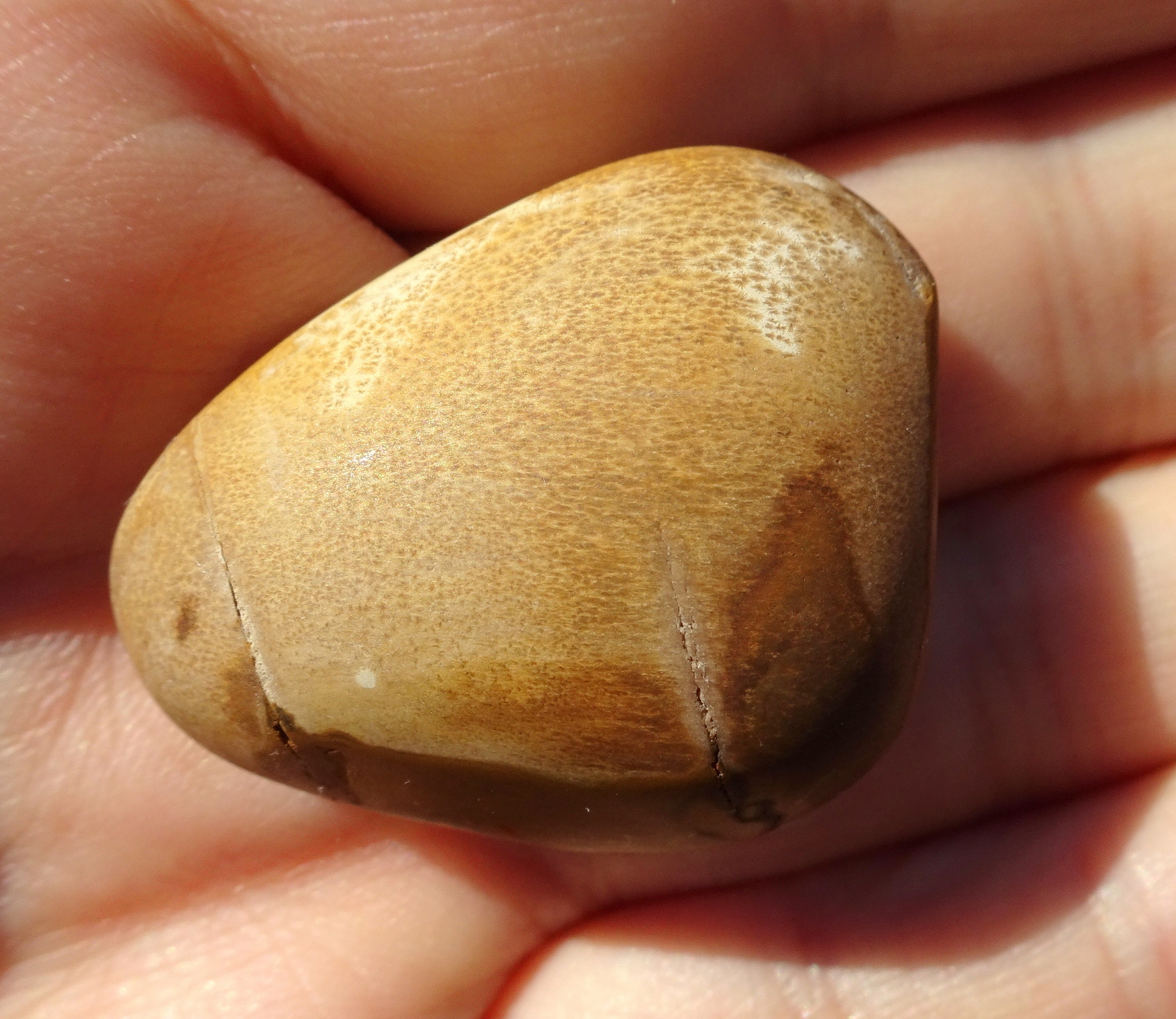 Side 1 of stone. Its colour reminds me of an acorn.