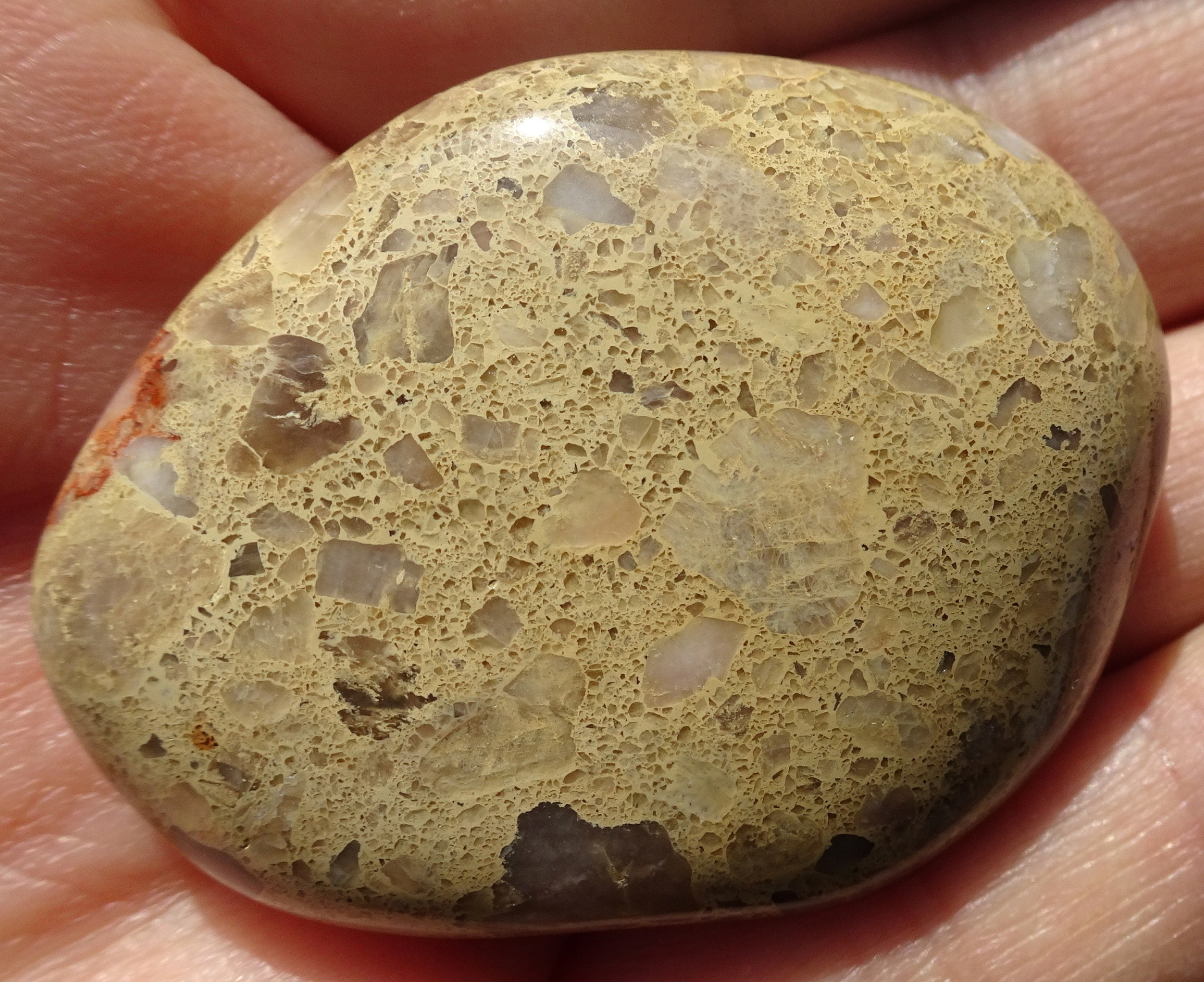 The cream-coloured side.