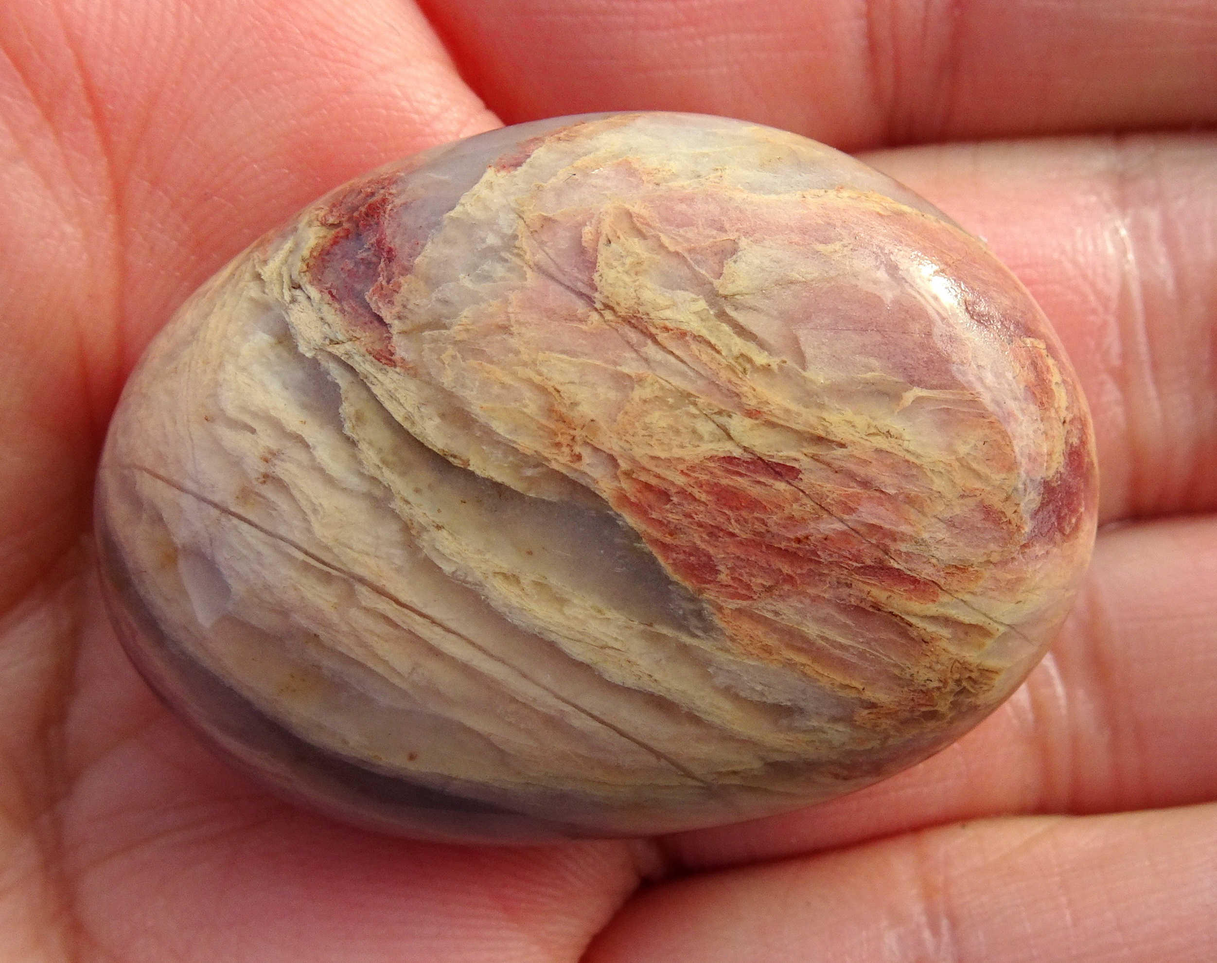 Probably a jasper.
