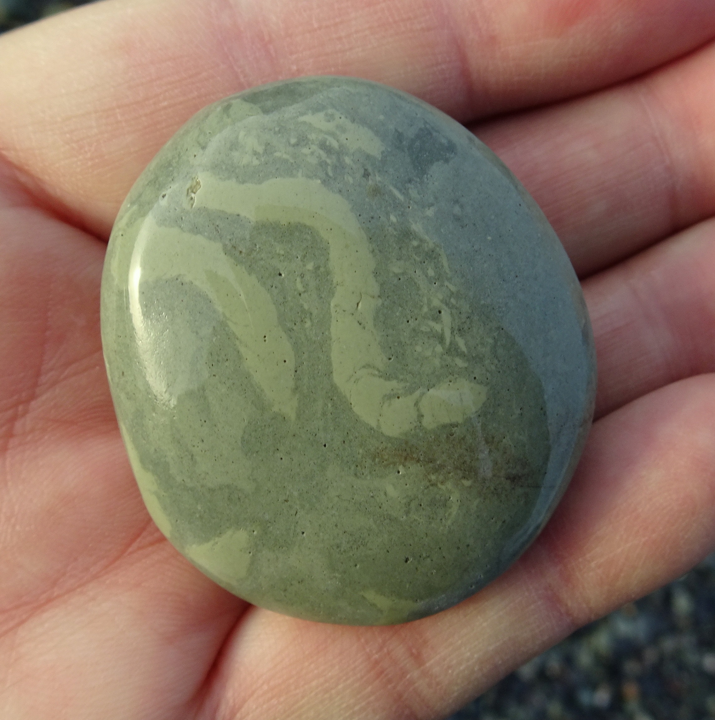 Fossil worm cast stone - argillite.
