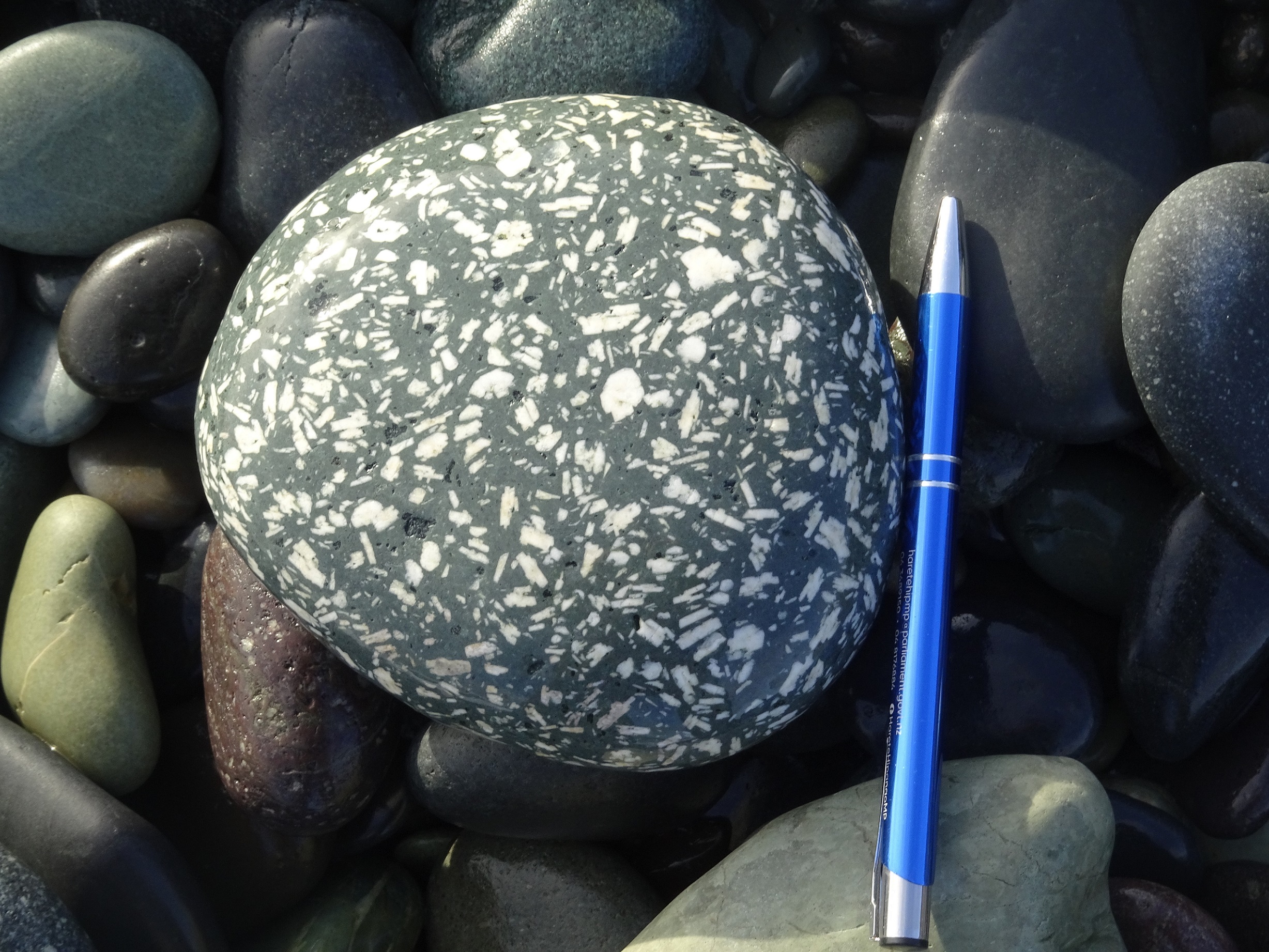 Porphyritic stone. Too big to tumble polish, so left it there. 20 metres later I changed my mind and went back and put it in my backpack. It will go in the "stone garden" back home in Whanganui.