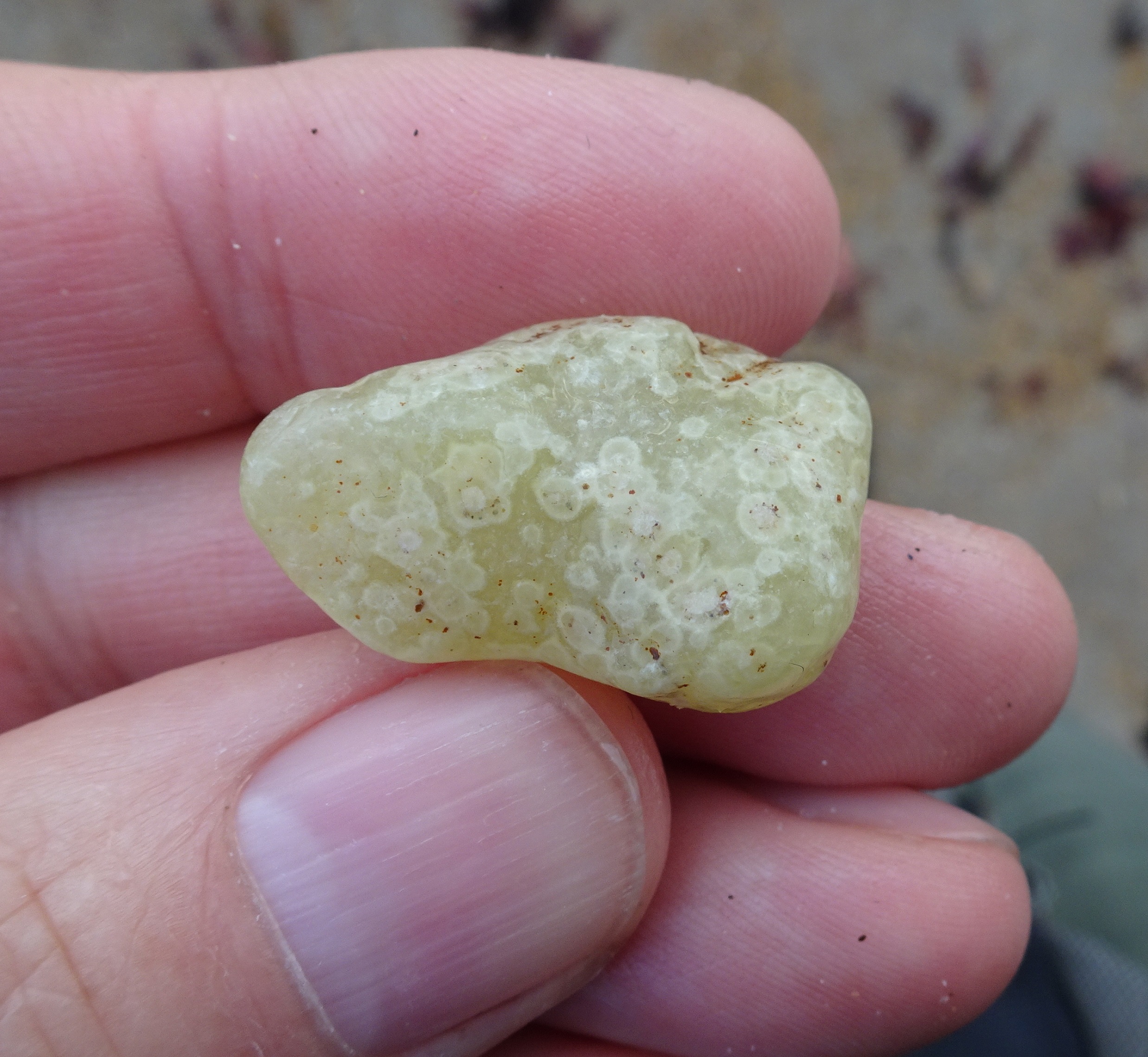Stone 2 - orbicular chalcedony?