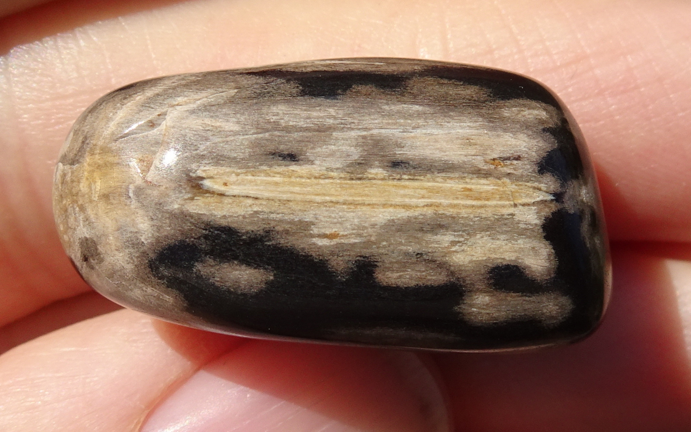 Side 2. Small indent apparent at left (top).