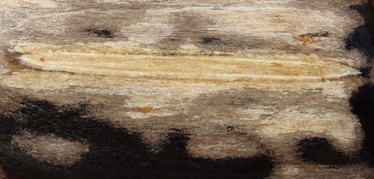 03dzz